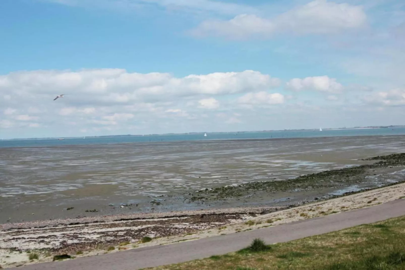 Aan de Oosterschelde-Gebieden zomer 20km