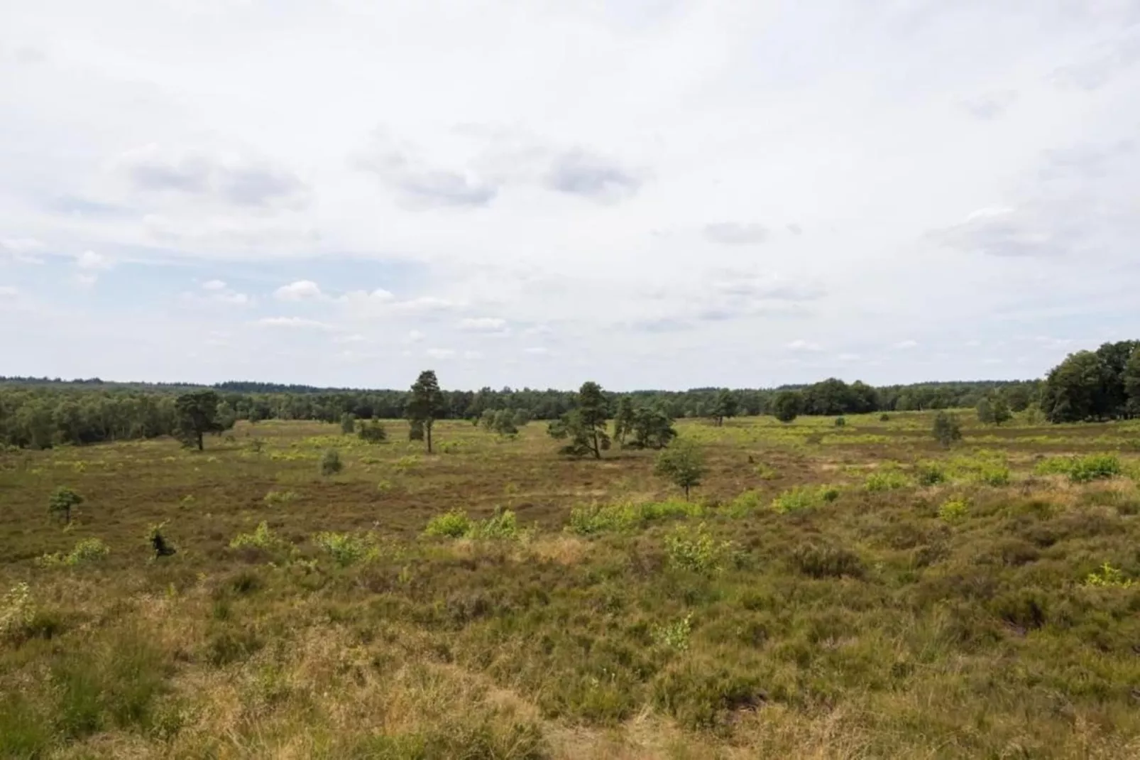 Bungalowpark Hoenderloo 1-Gebieden zomer 20km
