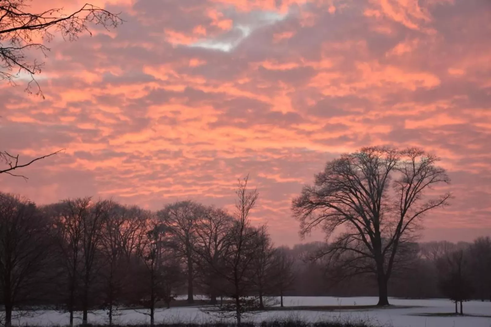Vakantiecentrum 't Schuttenbelt 7-Gebied winter 20km
