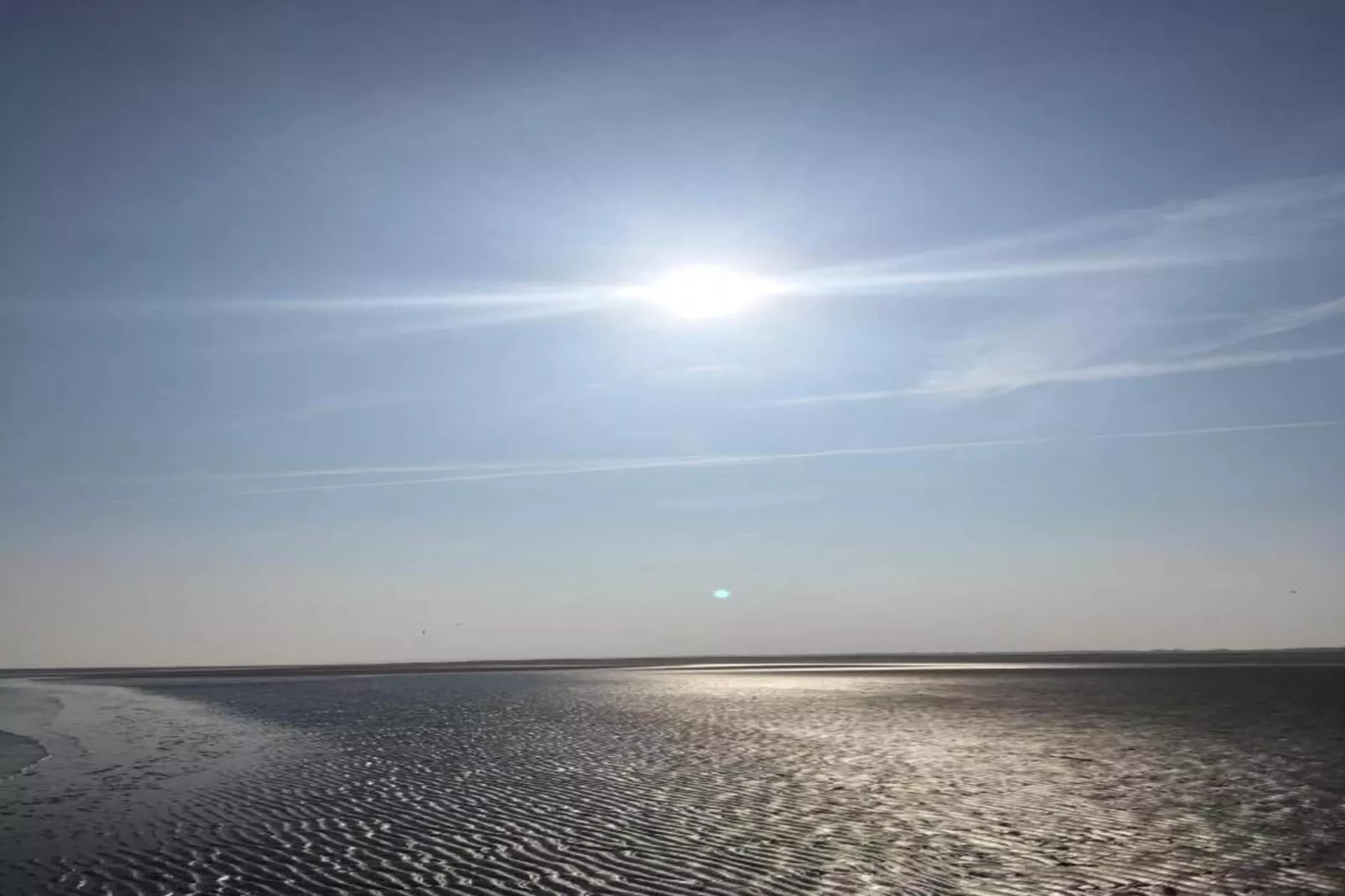 Skries-Gebieden zomer 20km