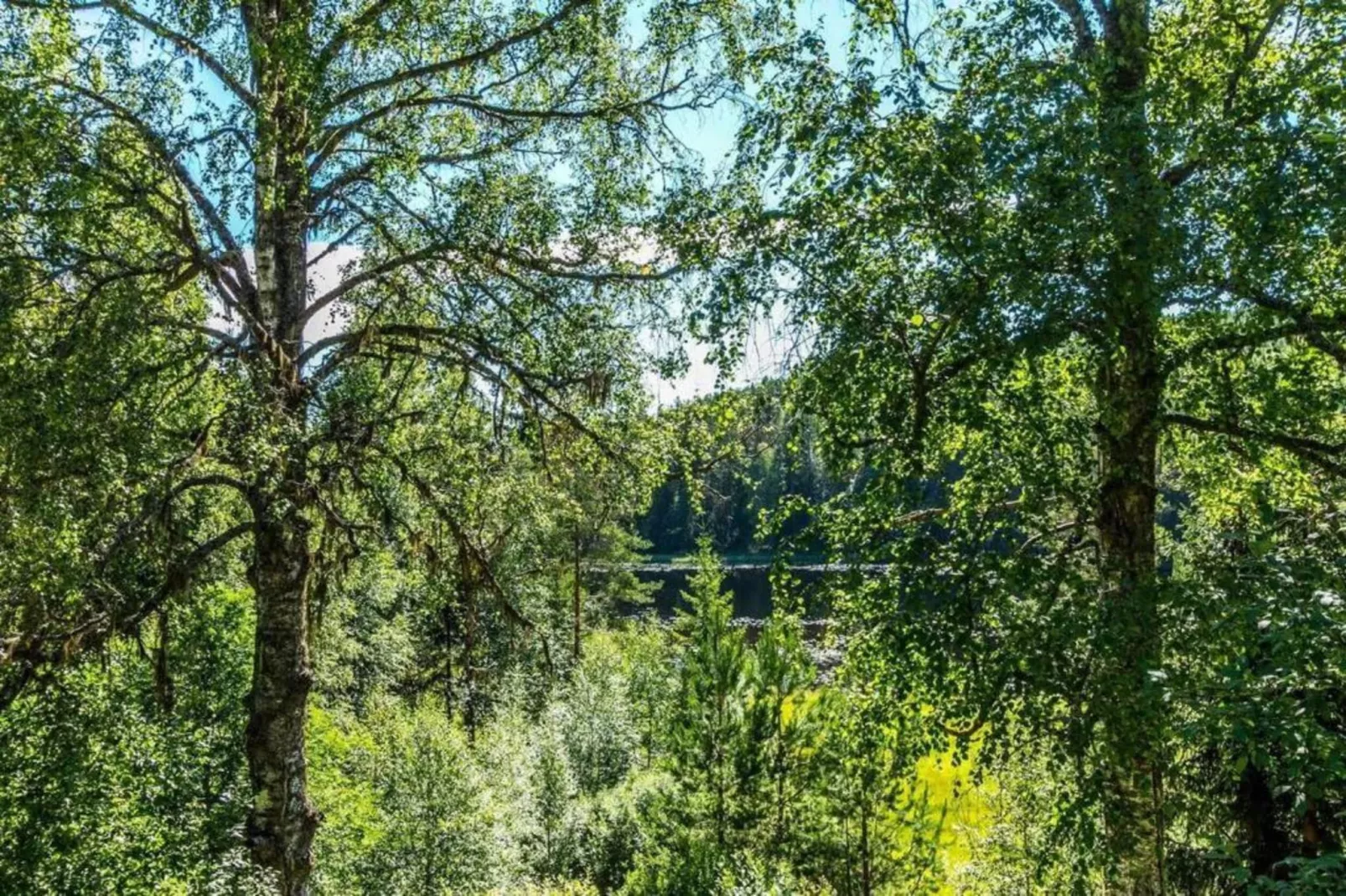 Värmlands Sjö och Fjäll Camping 14-Gebieden zomer 20km