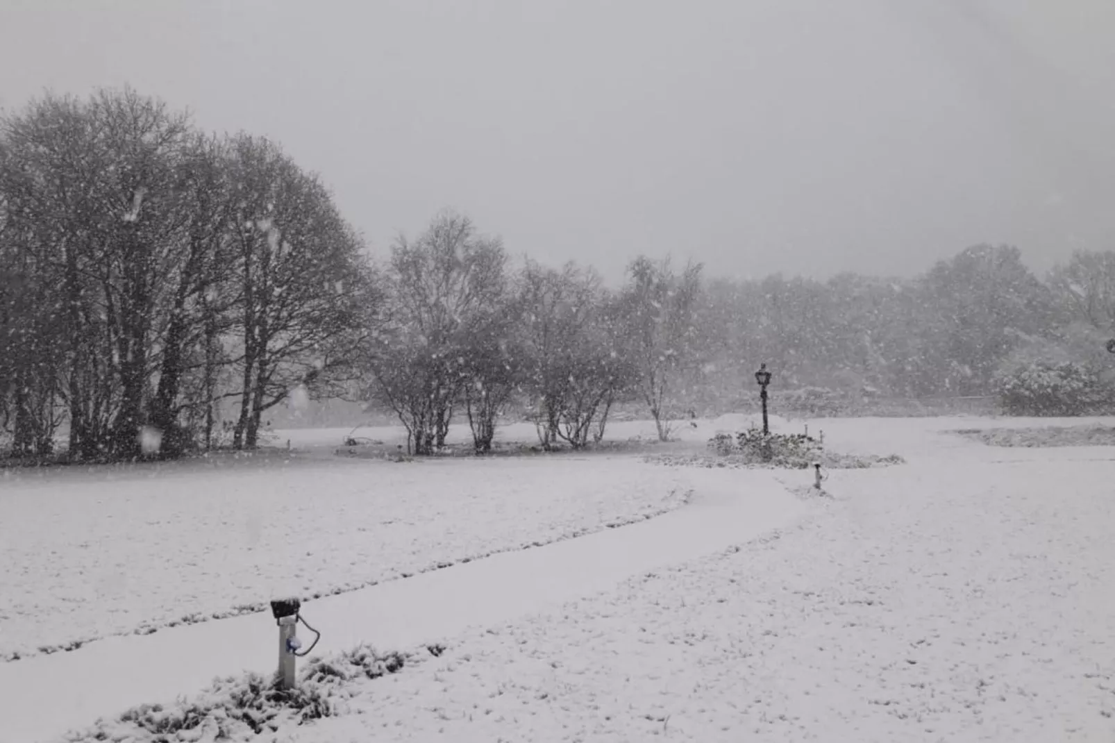 Parc de Kievit 20-Gebied winter 20km