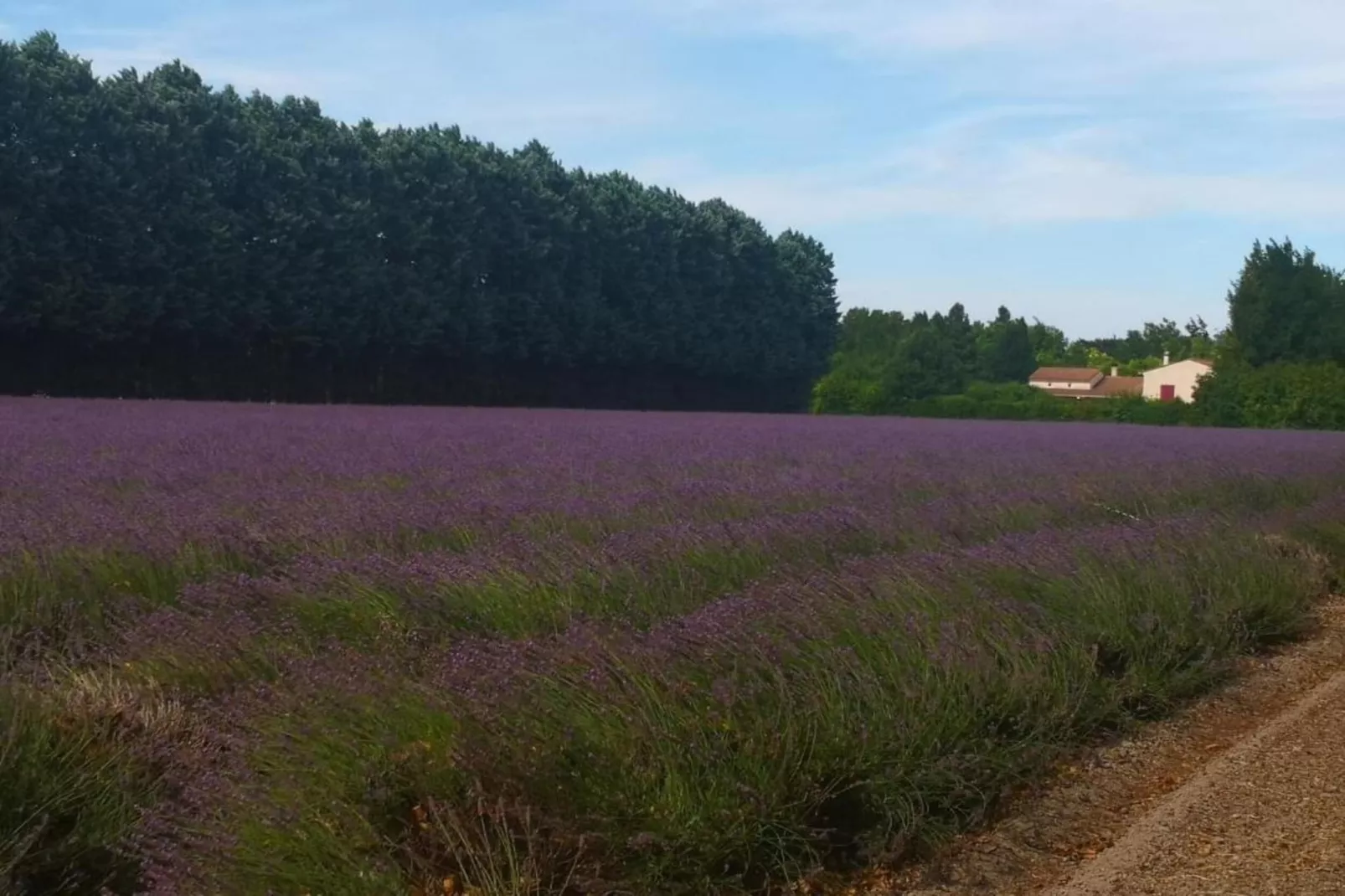 La Queue du Loup-Gebieden zomer 20km