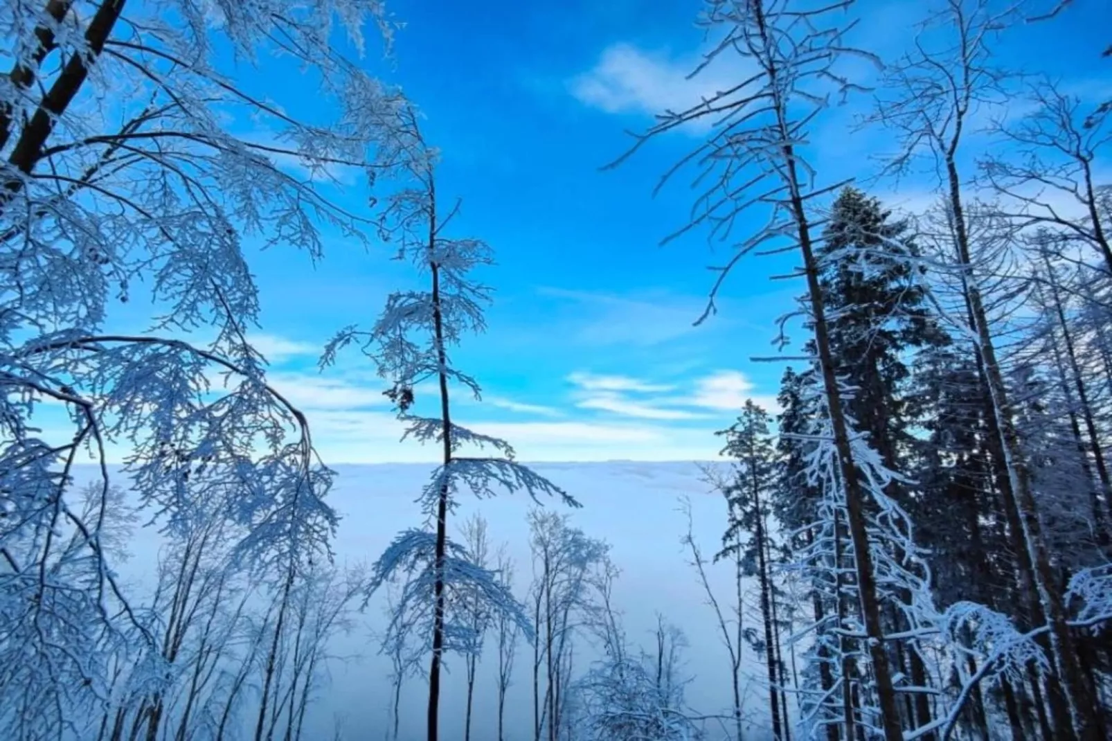 Ferienhaus Anna-Gebied winter 5km