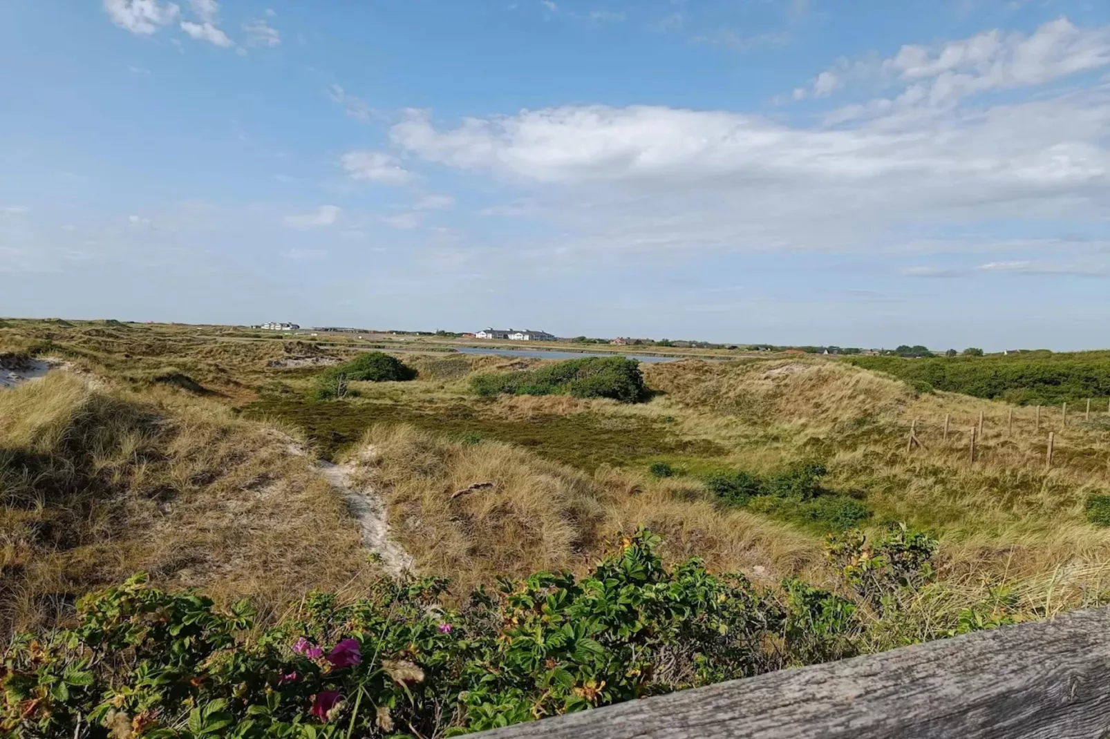 Strandperle-Gebieden zomer 5km