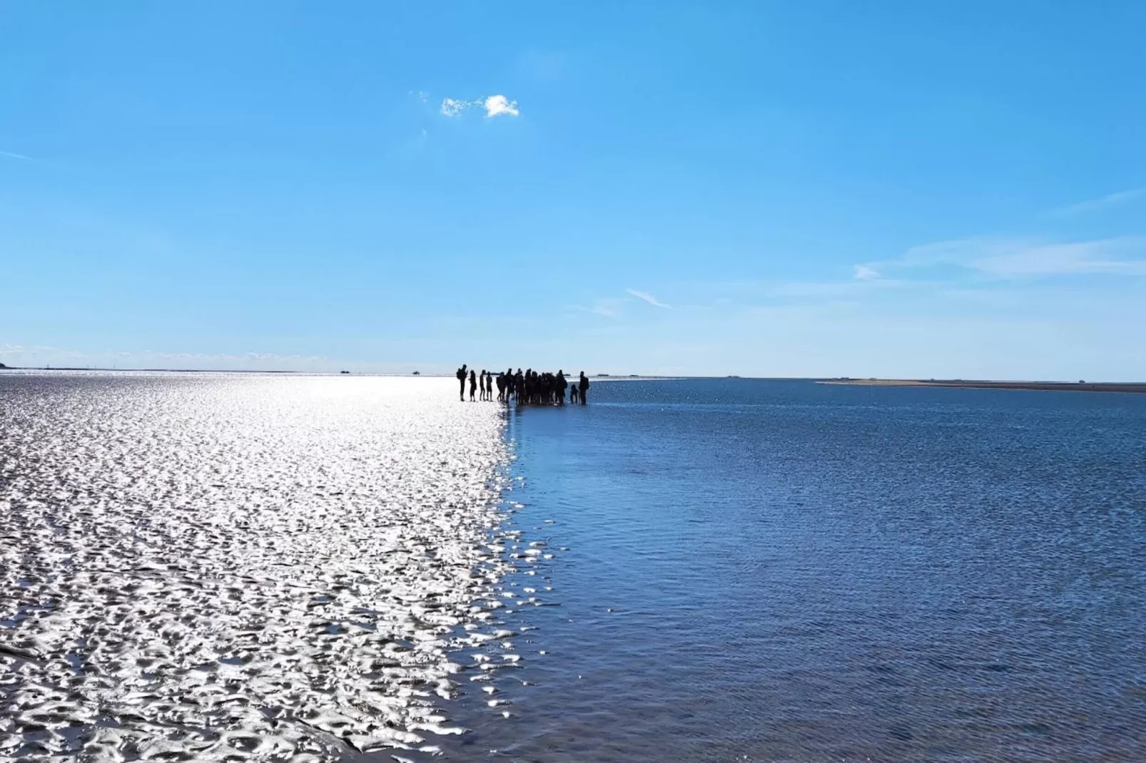 Reihenhaus Basstölpel 4 Personen-Gebieden zomer 5km