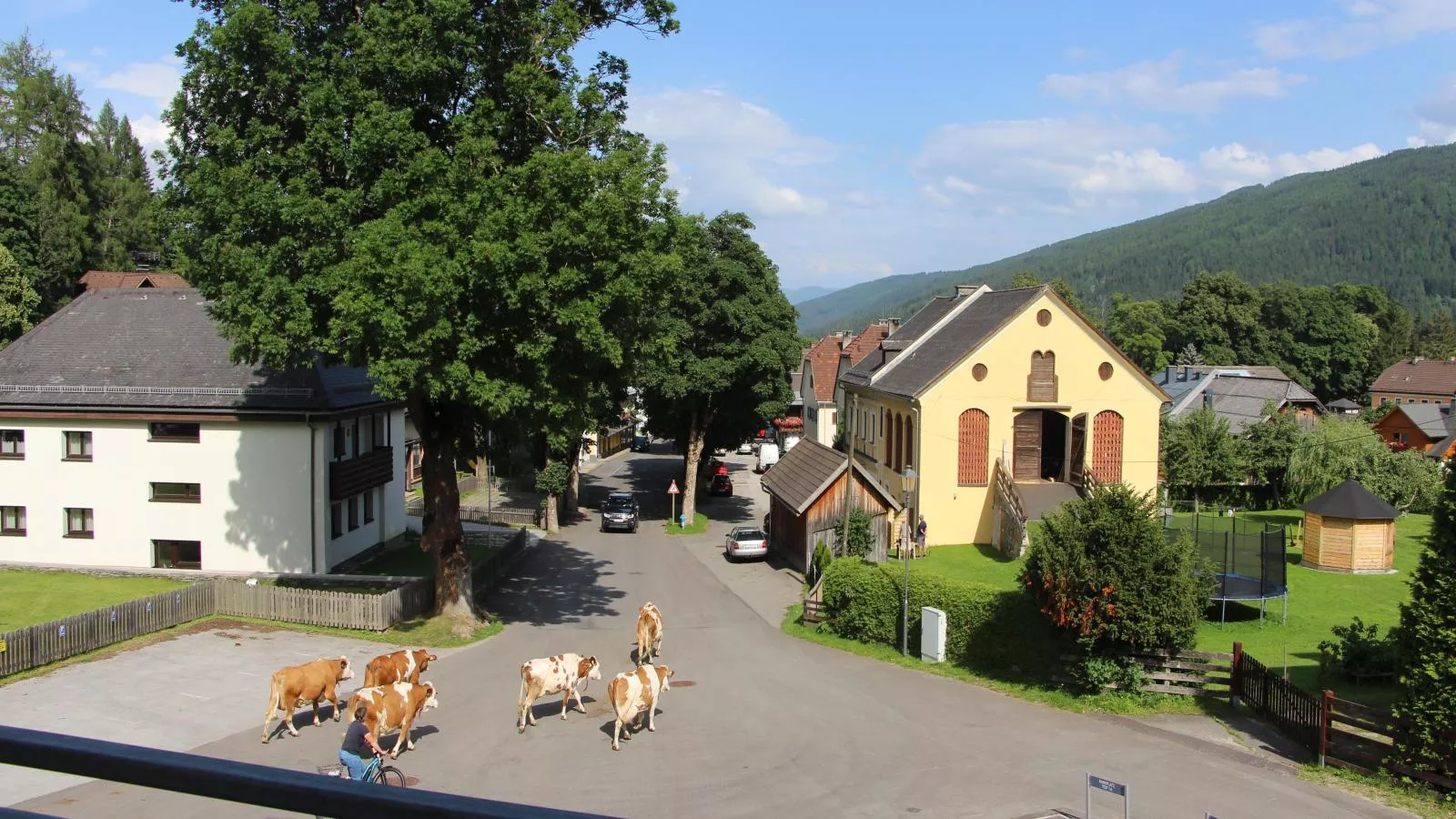 Ski Nature Apartment Lungau Top 6-Uitzicht