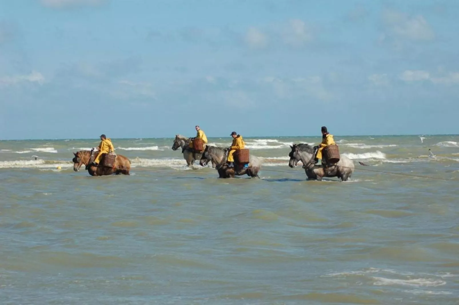 Atlantic B101-Gebieden zomer 1km