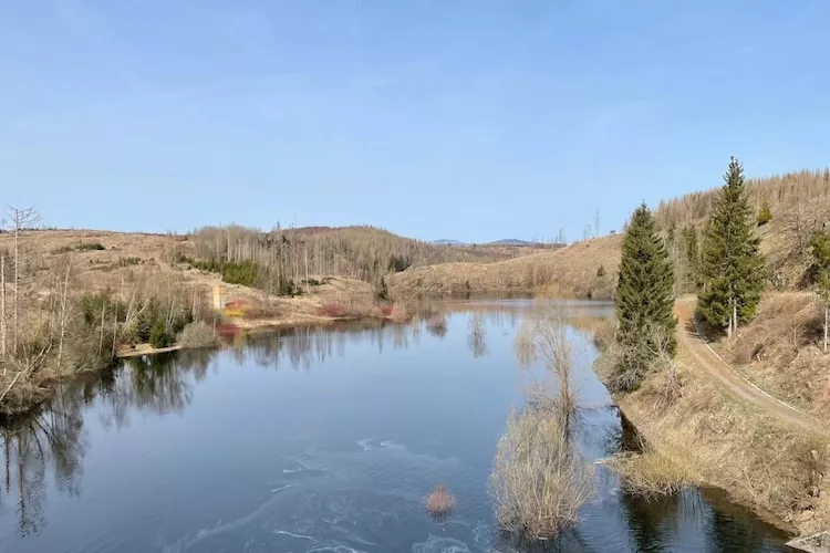 Ferienhaus in Hasselfelde - Haus 47 Blauvogel-Gebieden zomer 20km