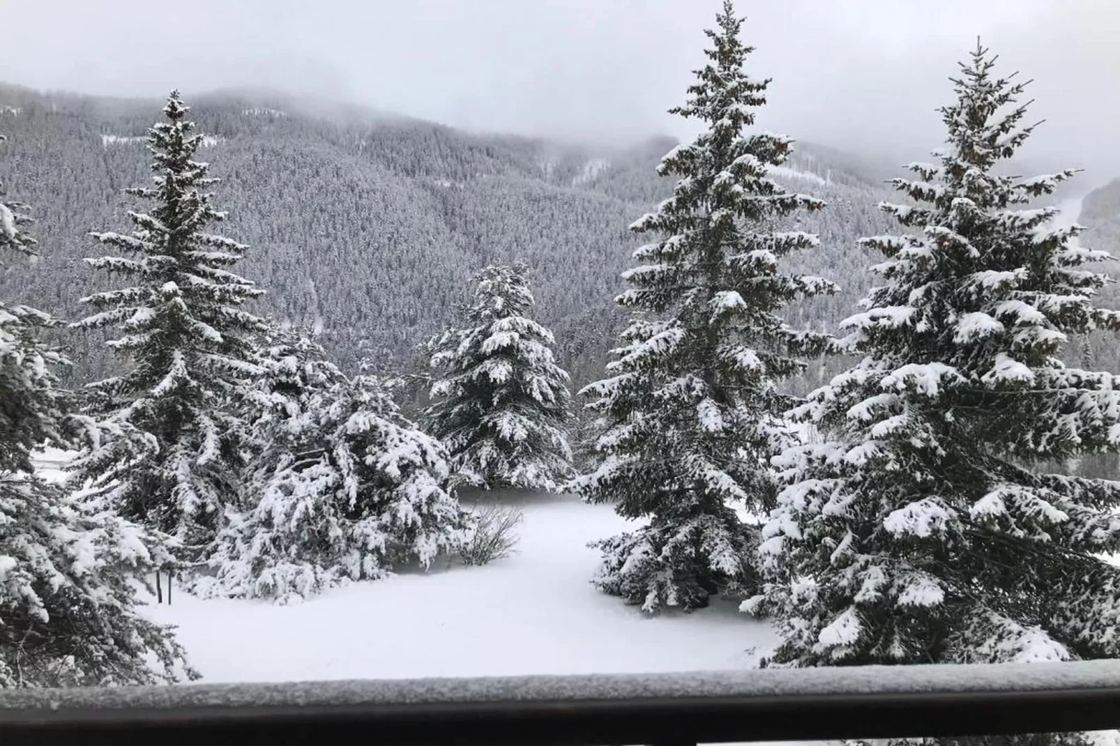 Le Mont d'Auron 1-Gebied winter 20km