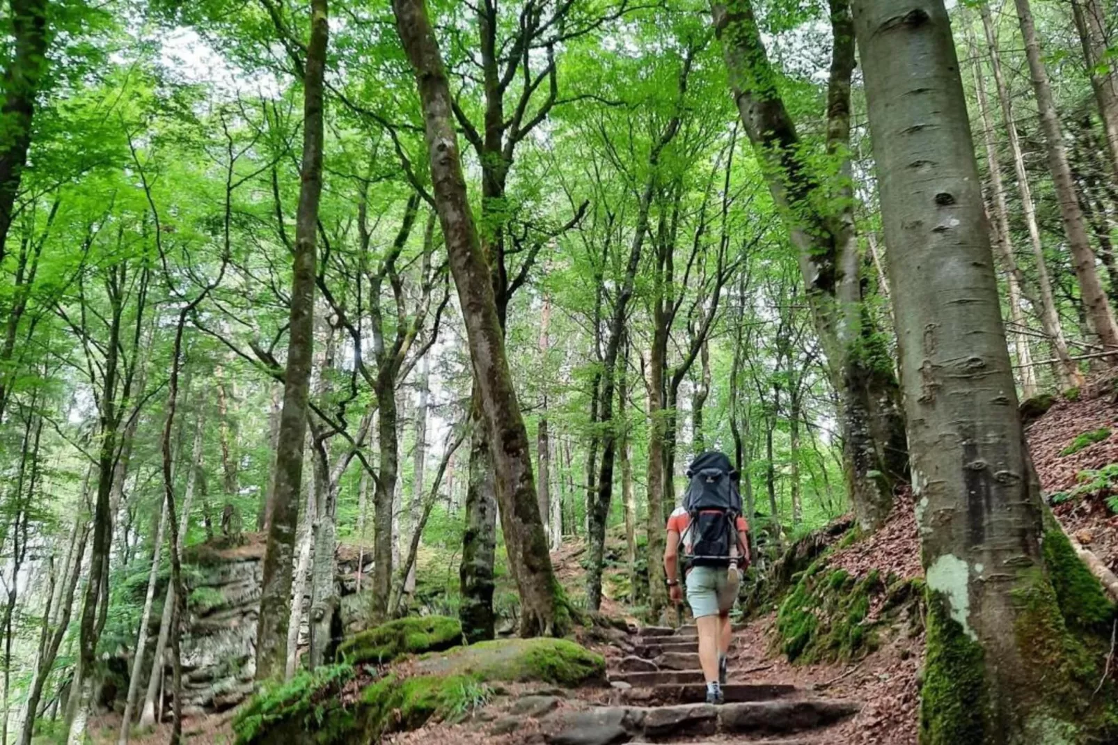 Resort Nommerlayen 3-Gebieden zomer 20km