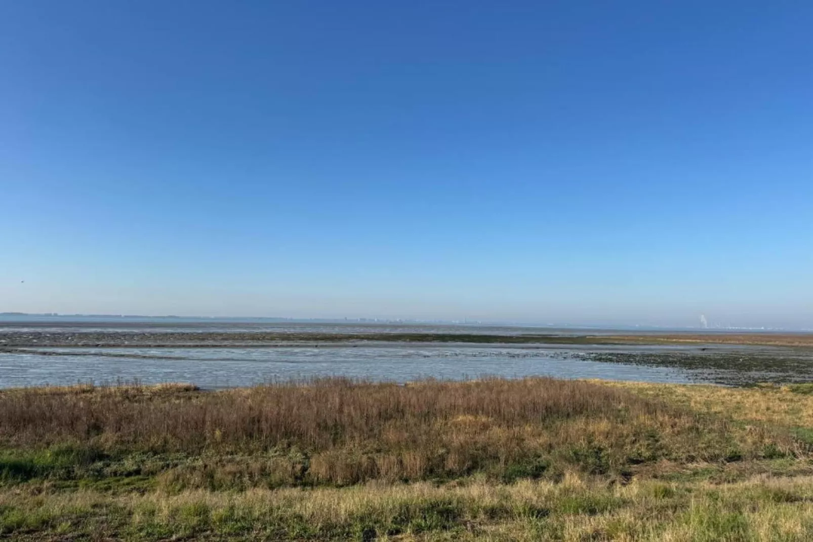 Kustwoning Baarland in Zeeland-Gebieden zomer 20km