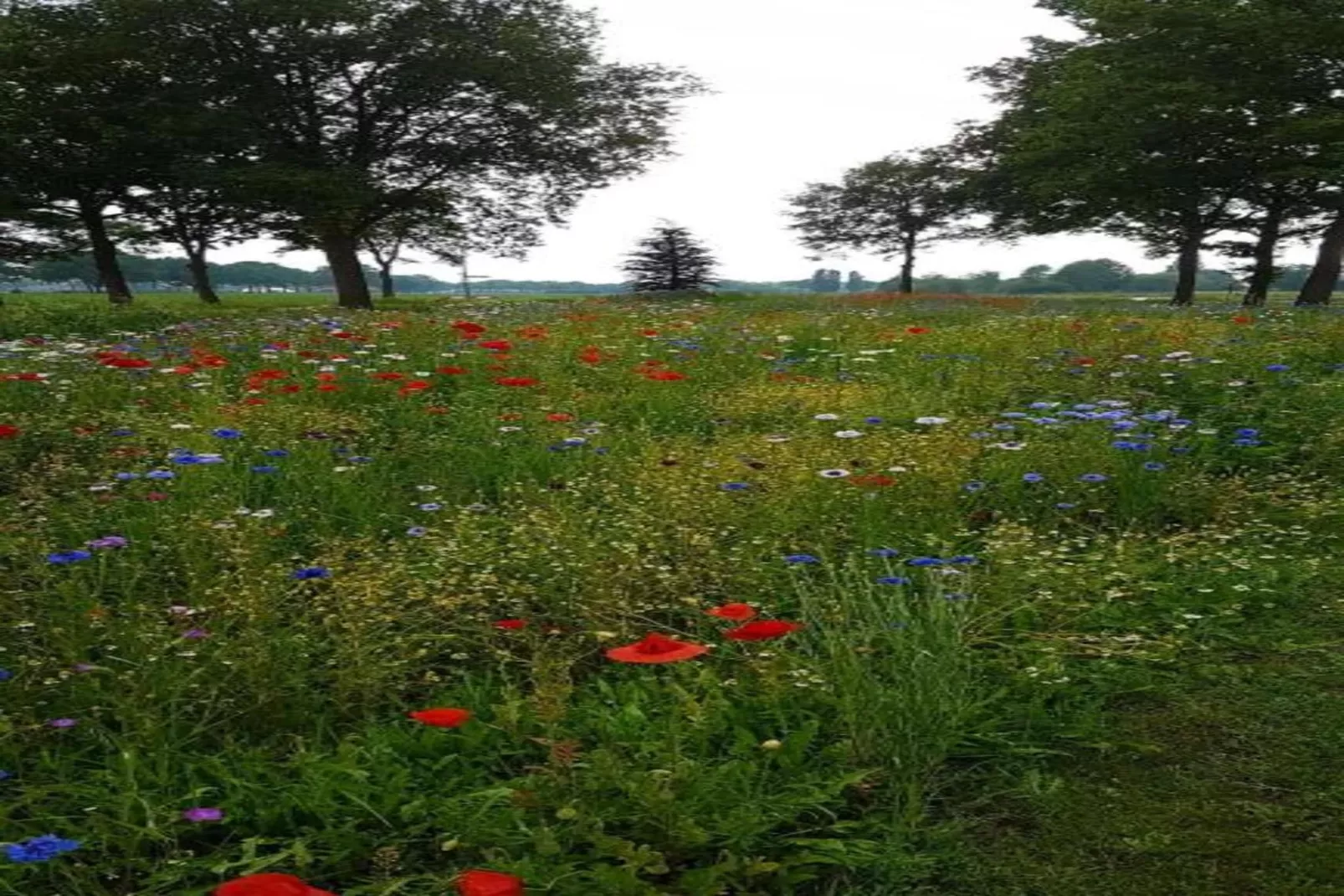 Vakantiepark Sandberghe 12-Gebieden zomer 20km