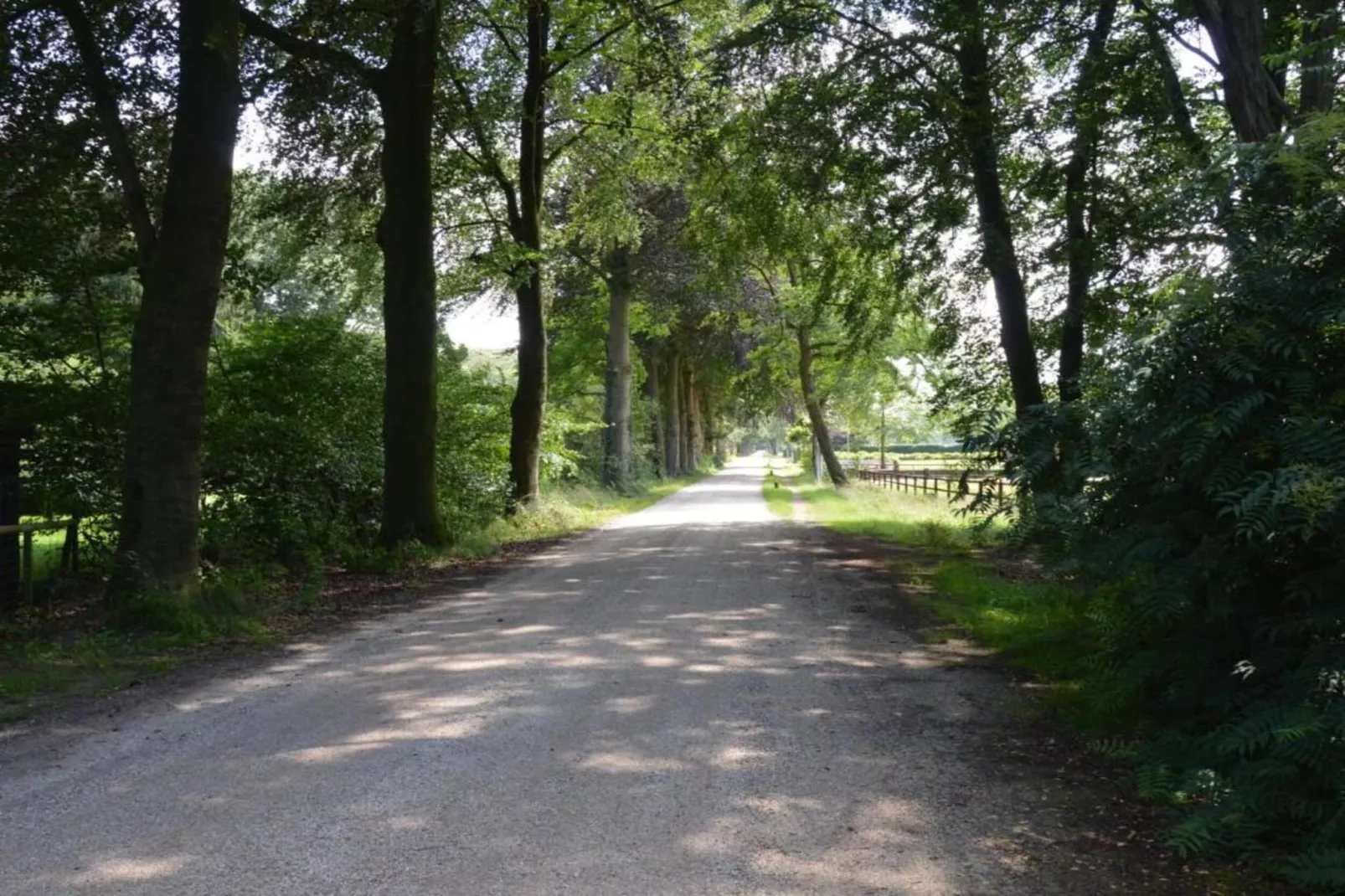 De Weelderik 2-Gebieden zomer 20km