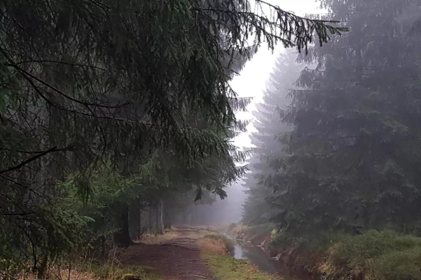 Ferienwohnung Bockwiese-Hahnenklee-Gebieden zomer 20km