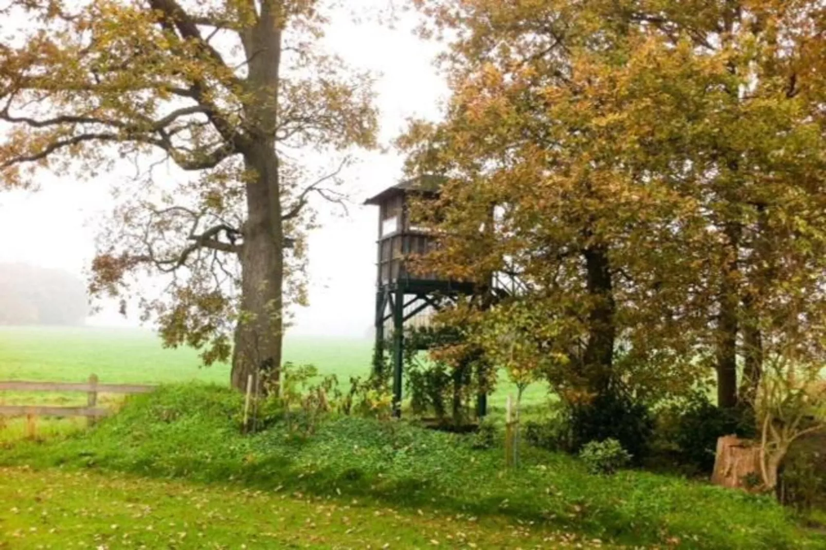 Ferienresort Bad Bentheim 31-Gebieden zomer 20km