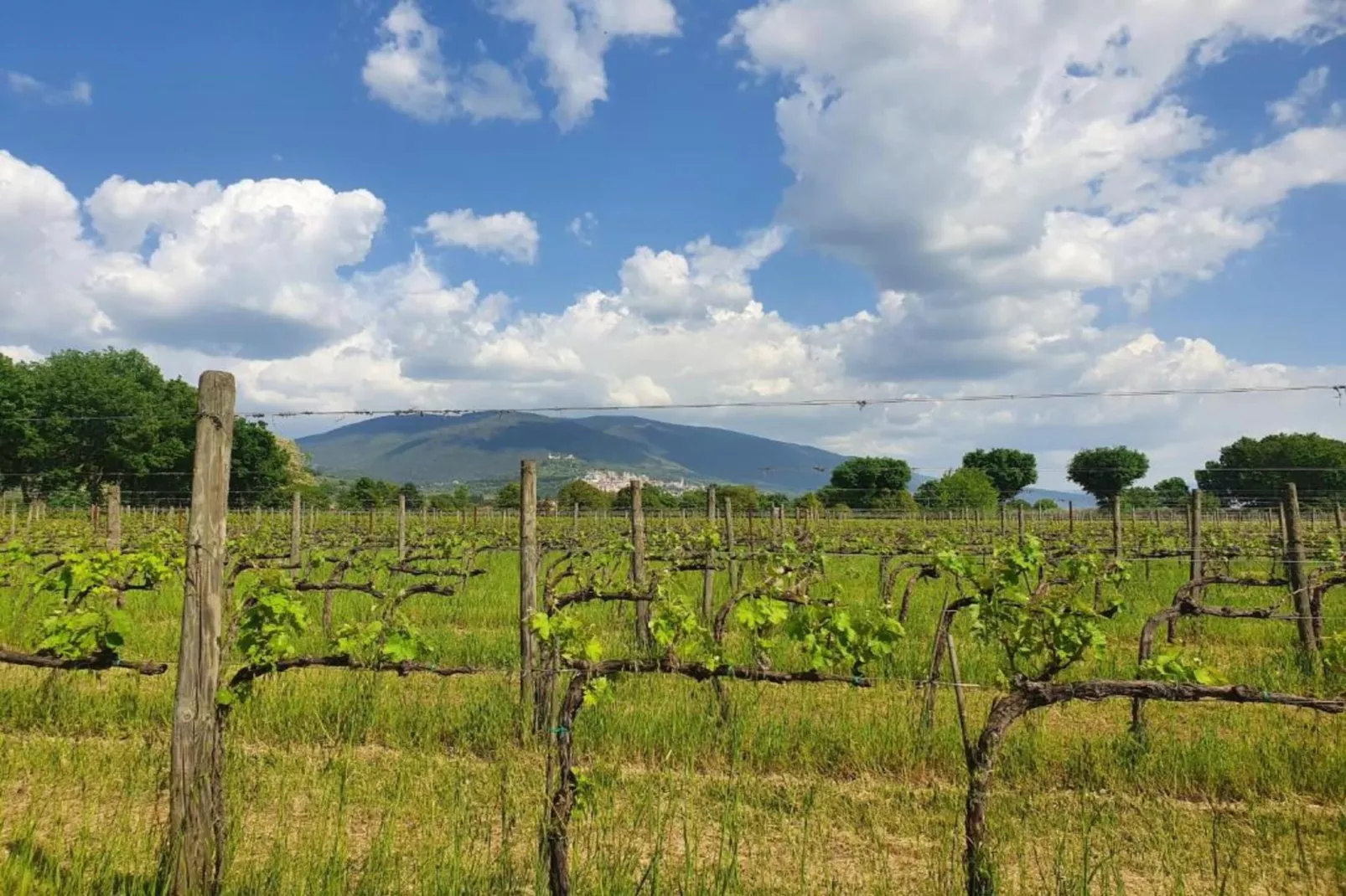 Appartamento 4 persone-Gebieden zomer 20km