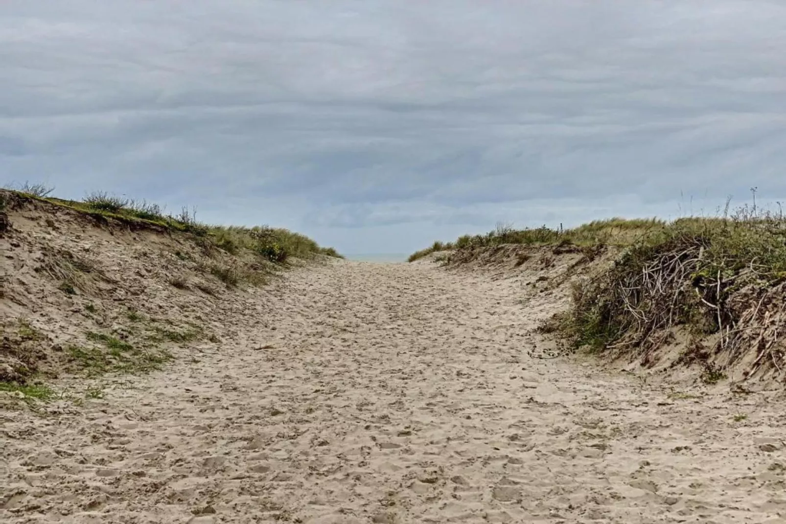 PANORAMA C2 D505-Gebieden zomer 20km