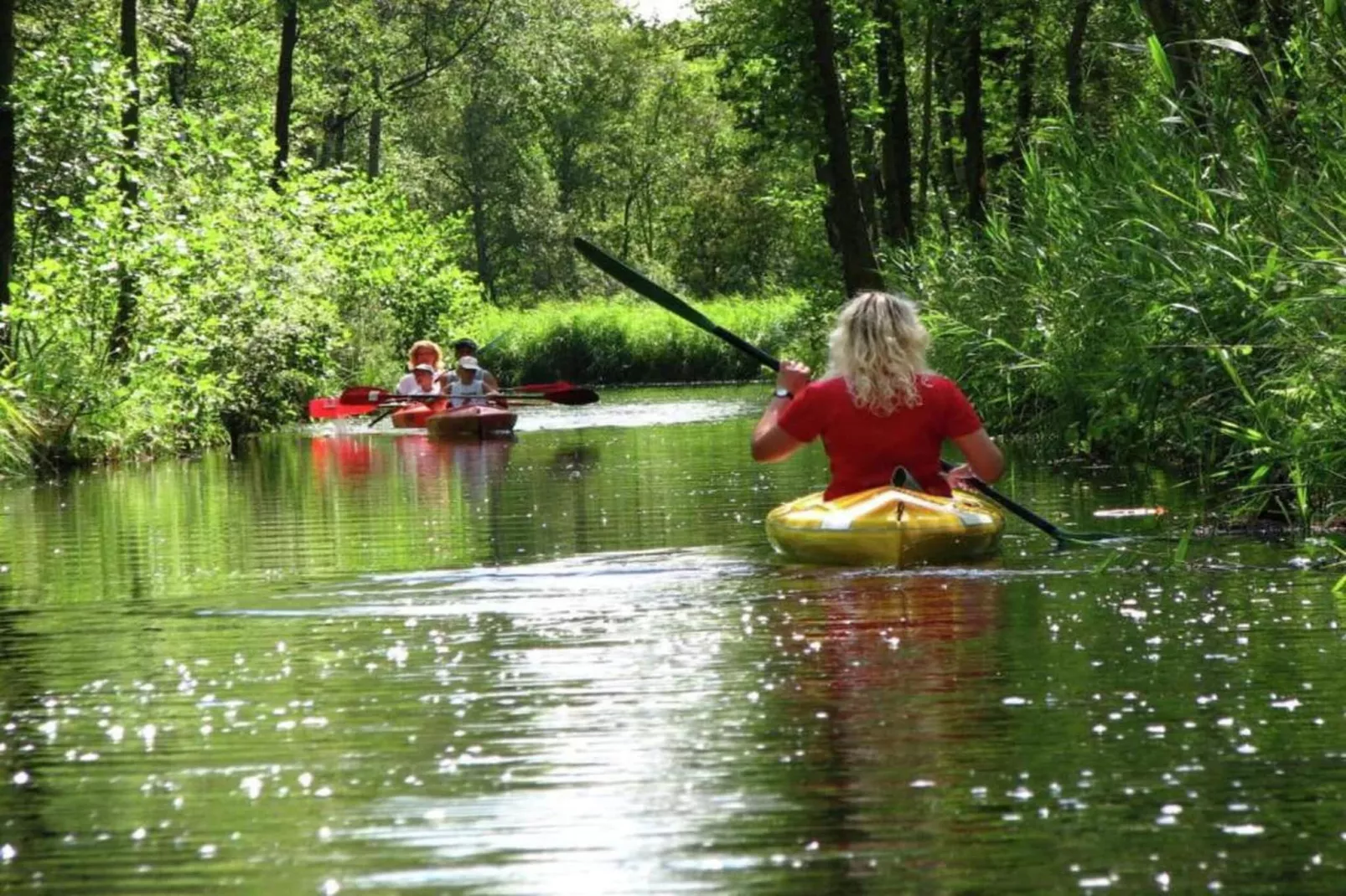 't Landgoed Baars 3-Gebieden zomer 20km
