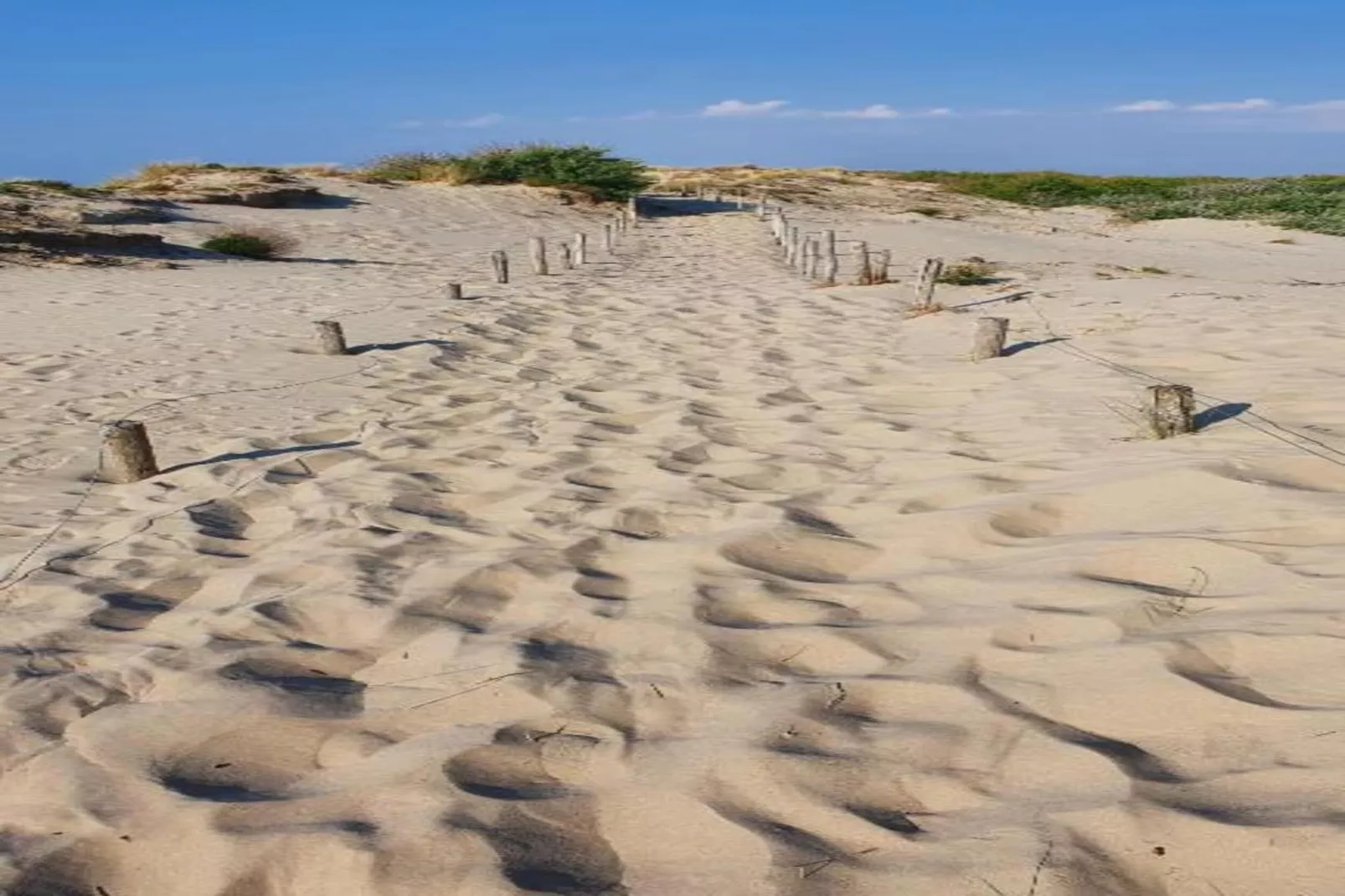 DUINENVELD 4B 166/0503GAR-Gebieden zomer 20km