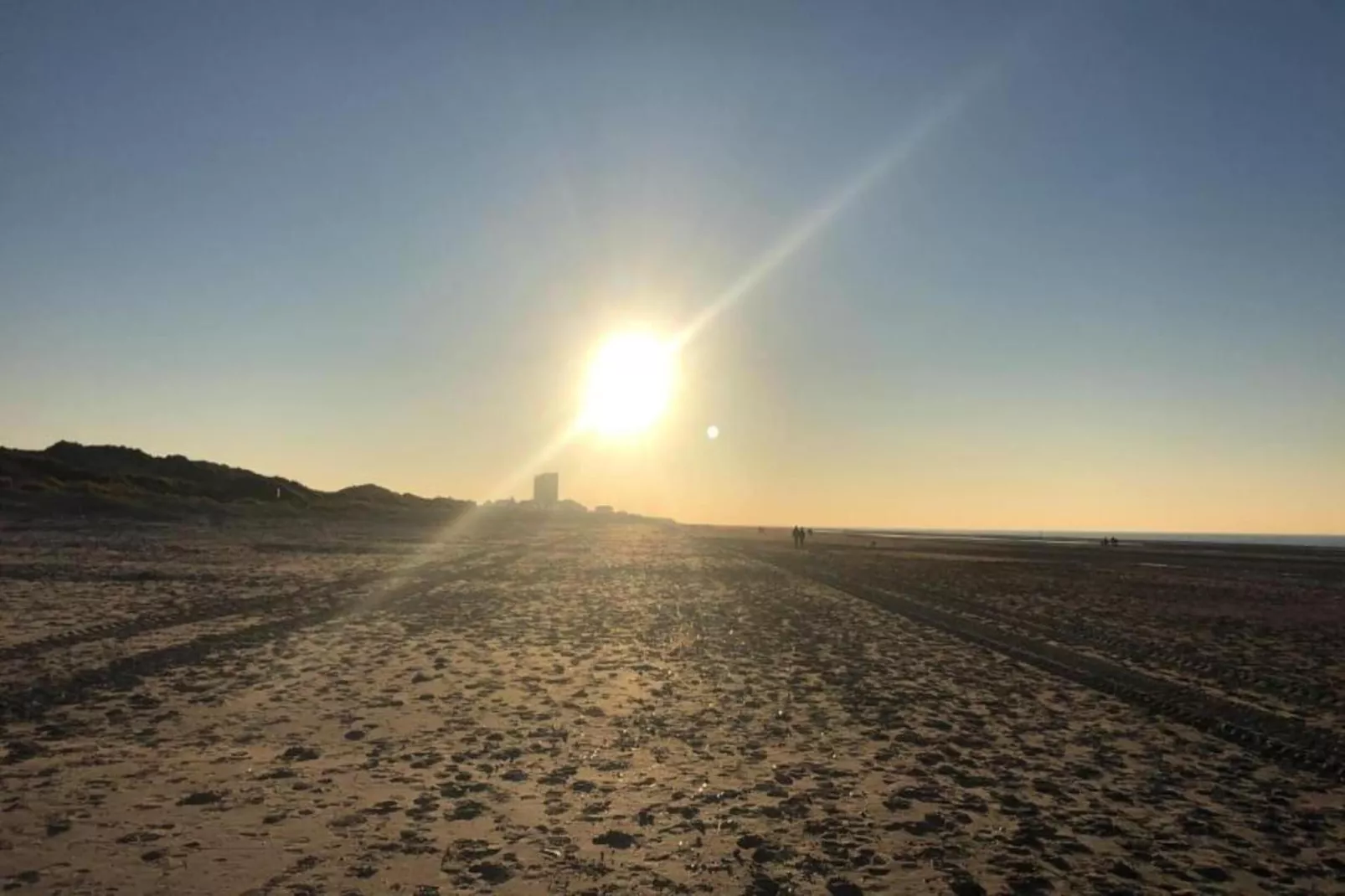 Delphine CD - 103-Gebieden zomer 1km