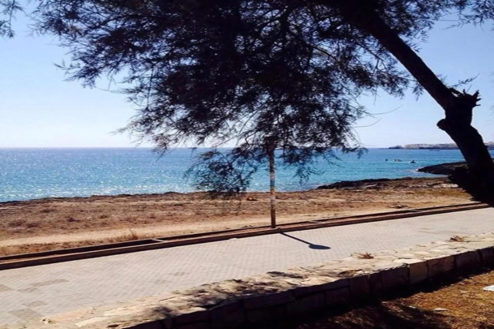 CVG12-Gebieden zomer 20km