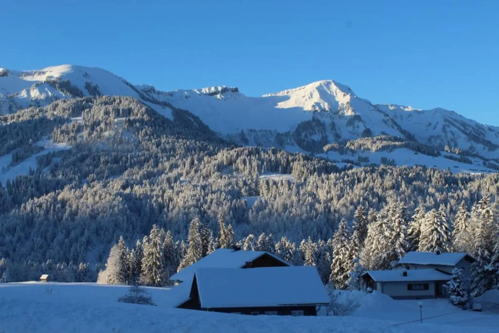 Apartment 4-Gebied winter 20km