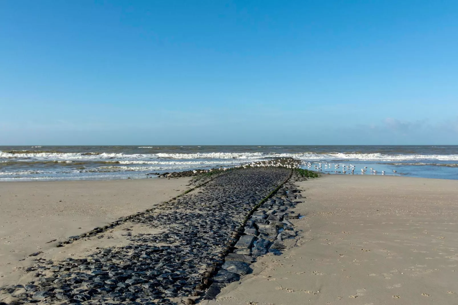 Wijde Blick 203-Gebieden zomer 5km