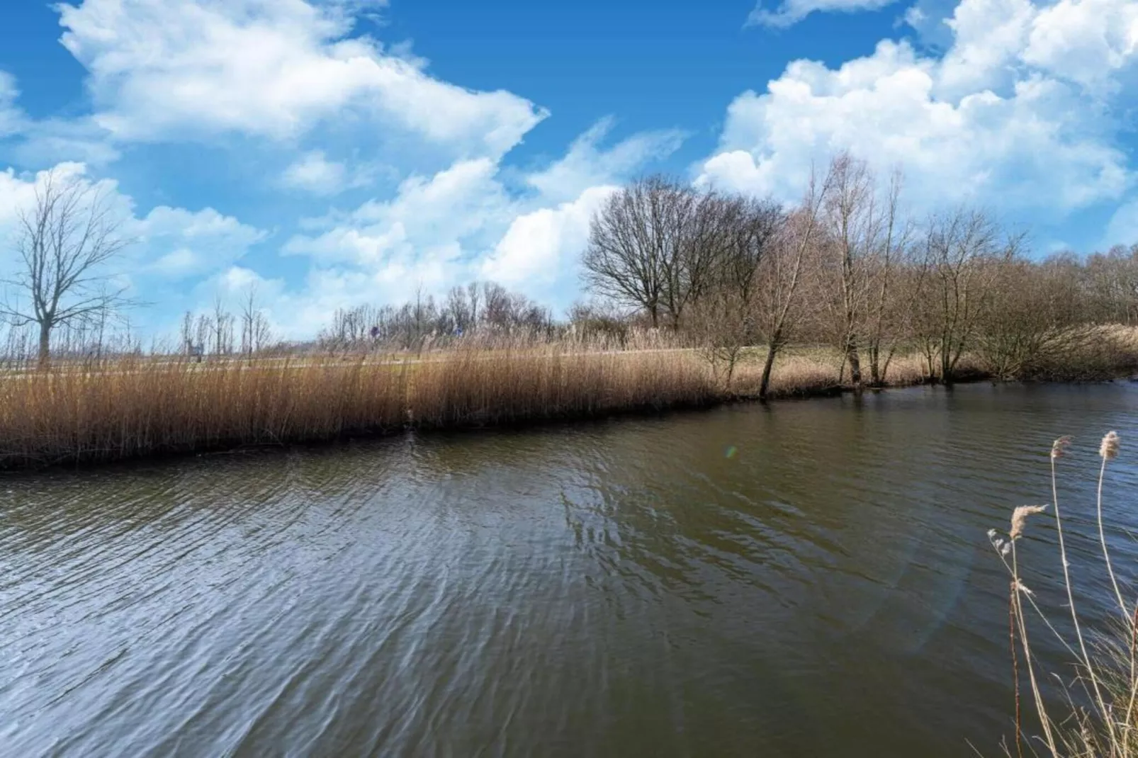 Standaard 336-Gebieden zomer 20km