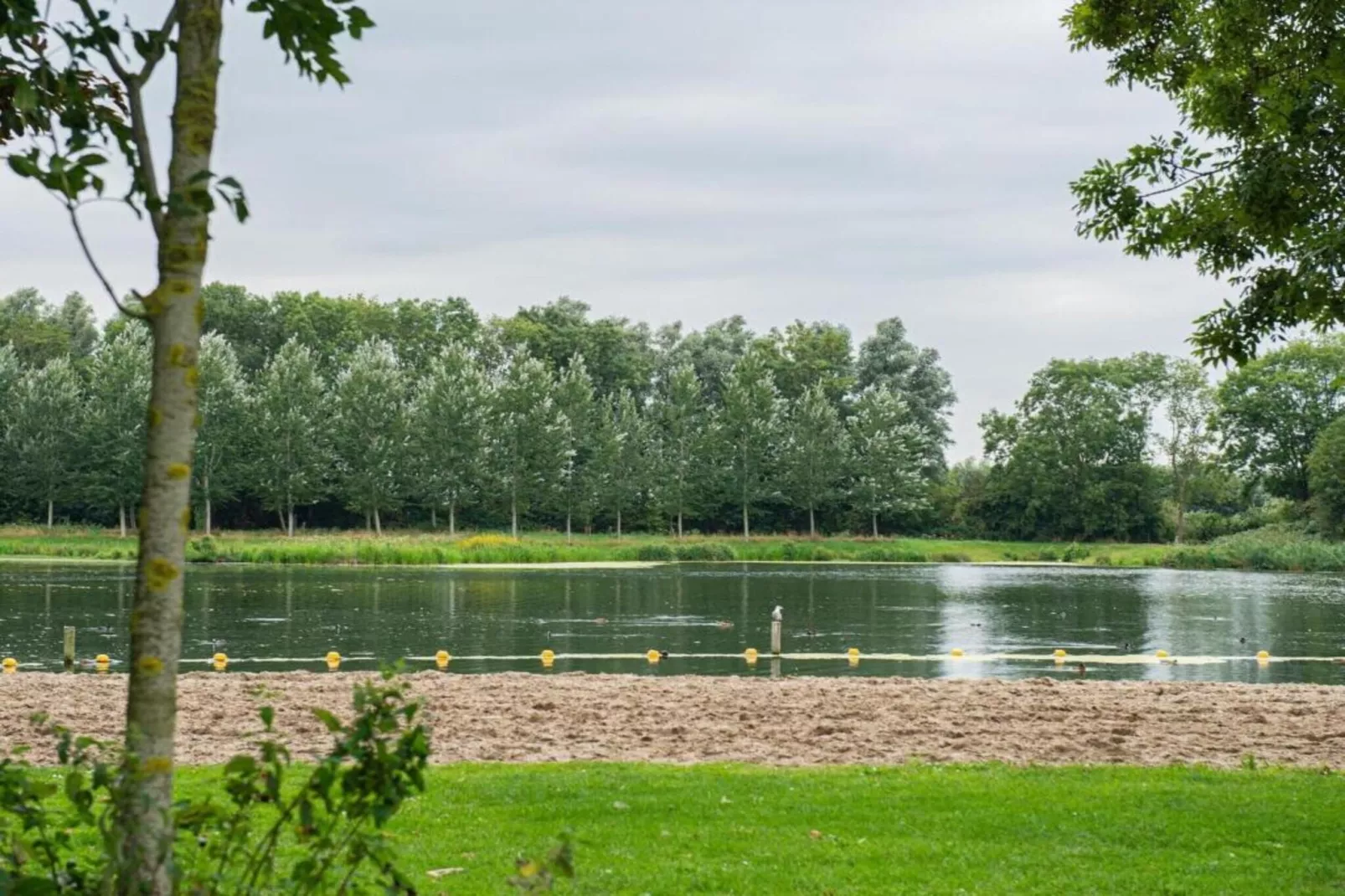 Standaard 323-Gebieden zomer 20km