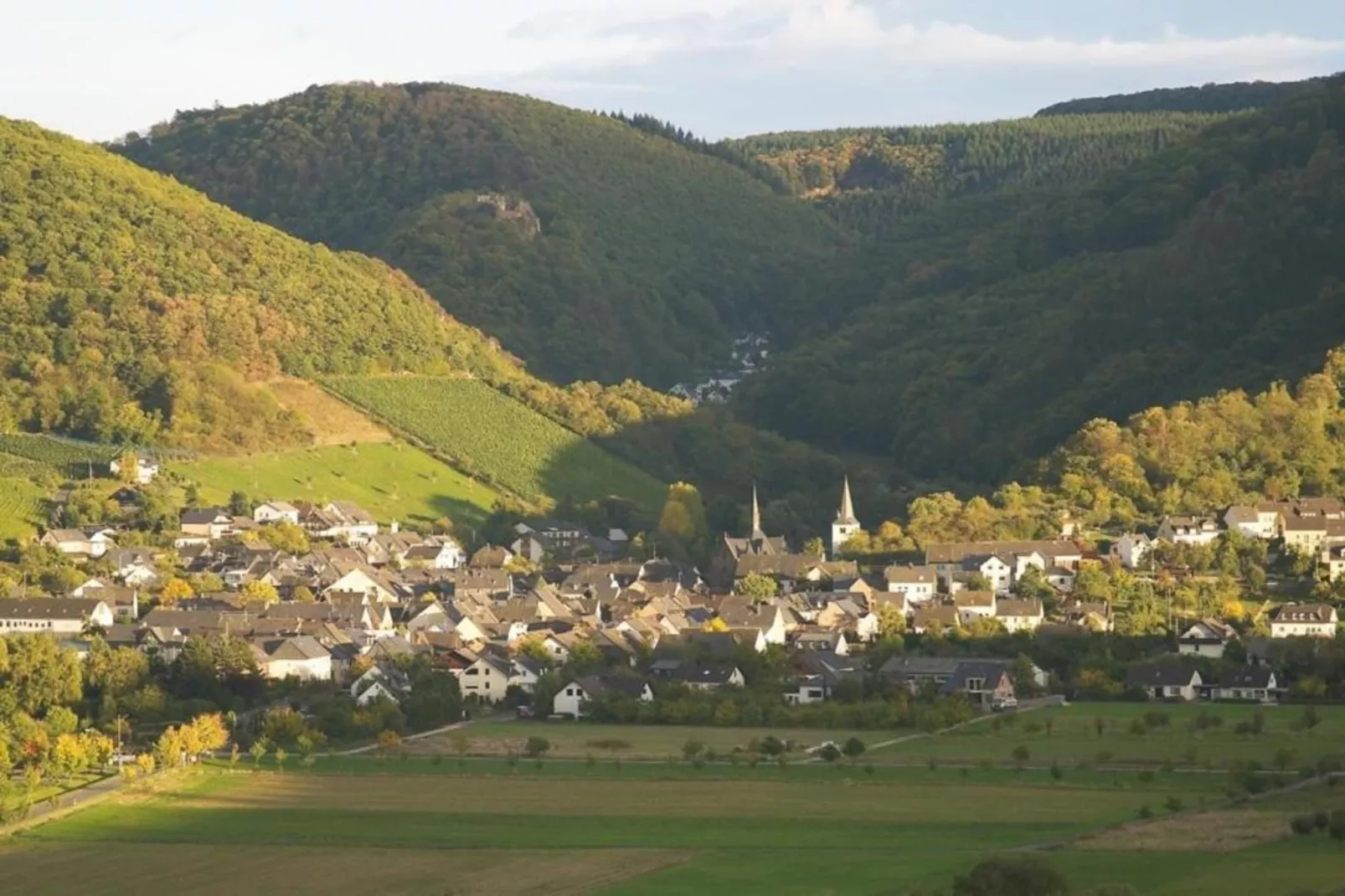 Ferienhaus der Saison an der Mosel-Gebieden zomer 20km