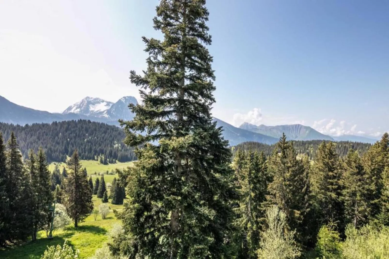 V. du Bachat ASTERS A N°04  - ST4-Gebieden zomer 5km