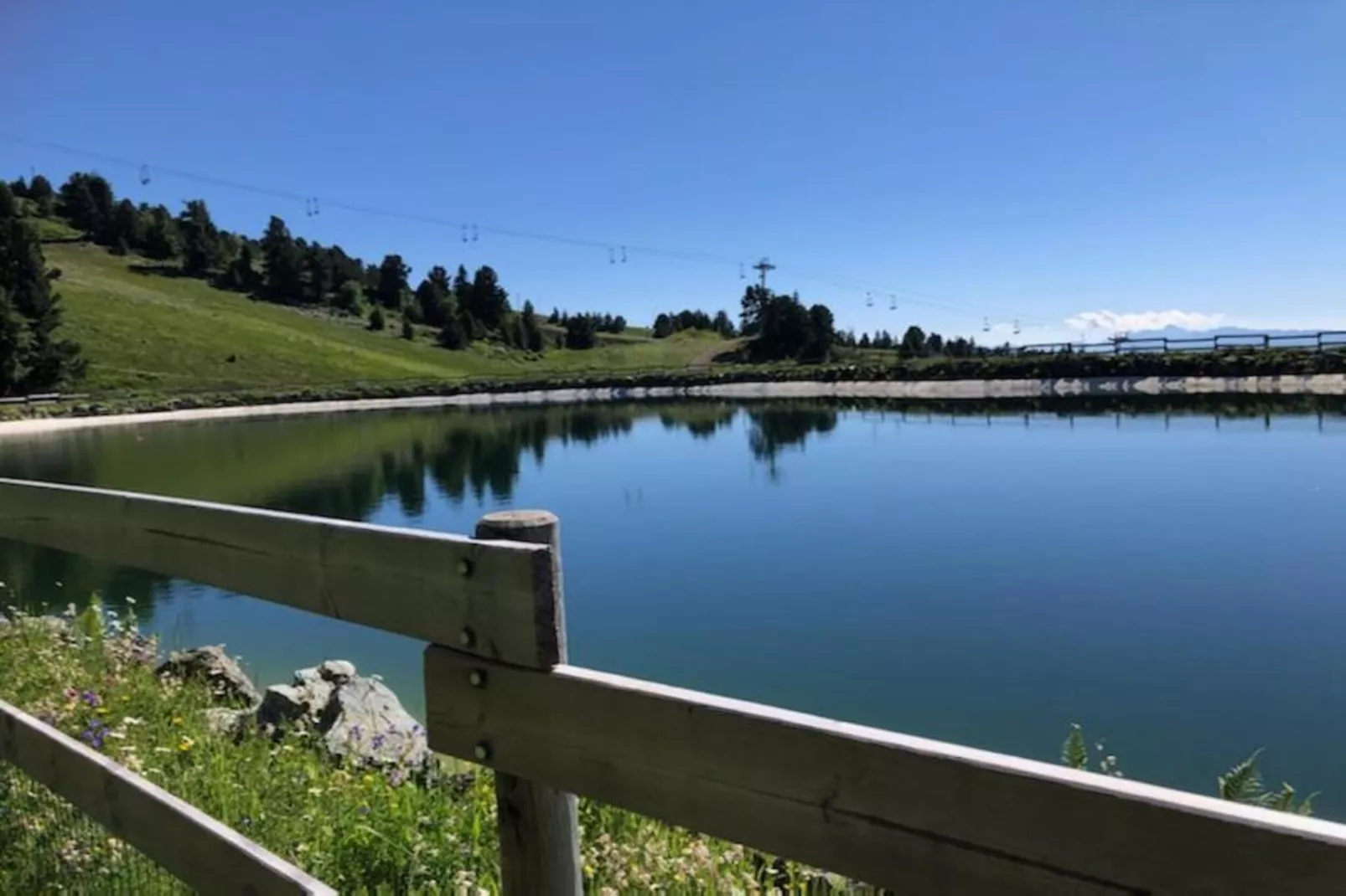 CYTISES N°305 - 2P4-Gebieden zomer 5km