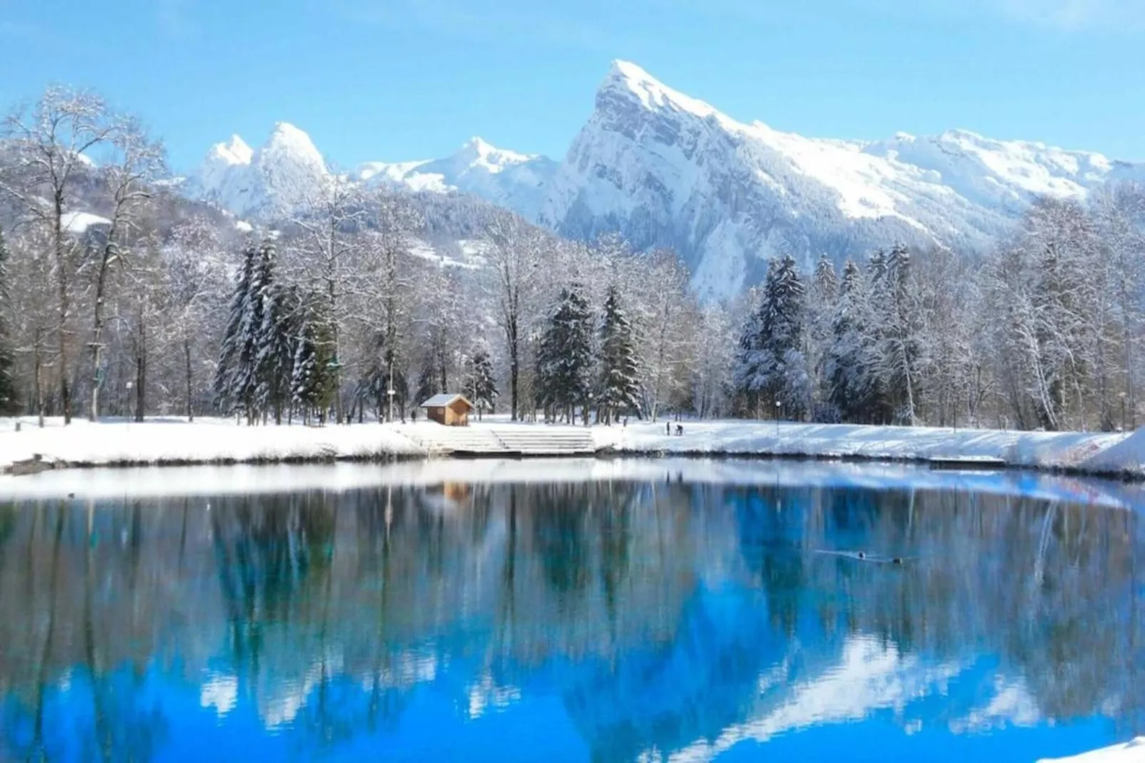 CHALET N°35 - 3P6-Gebied winter 20km