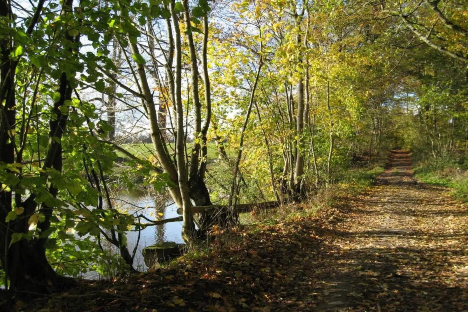 Comet 27 Lodges-Gebieden zomer 5km