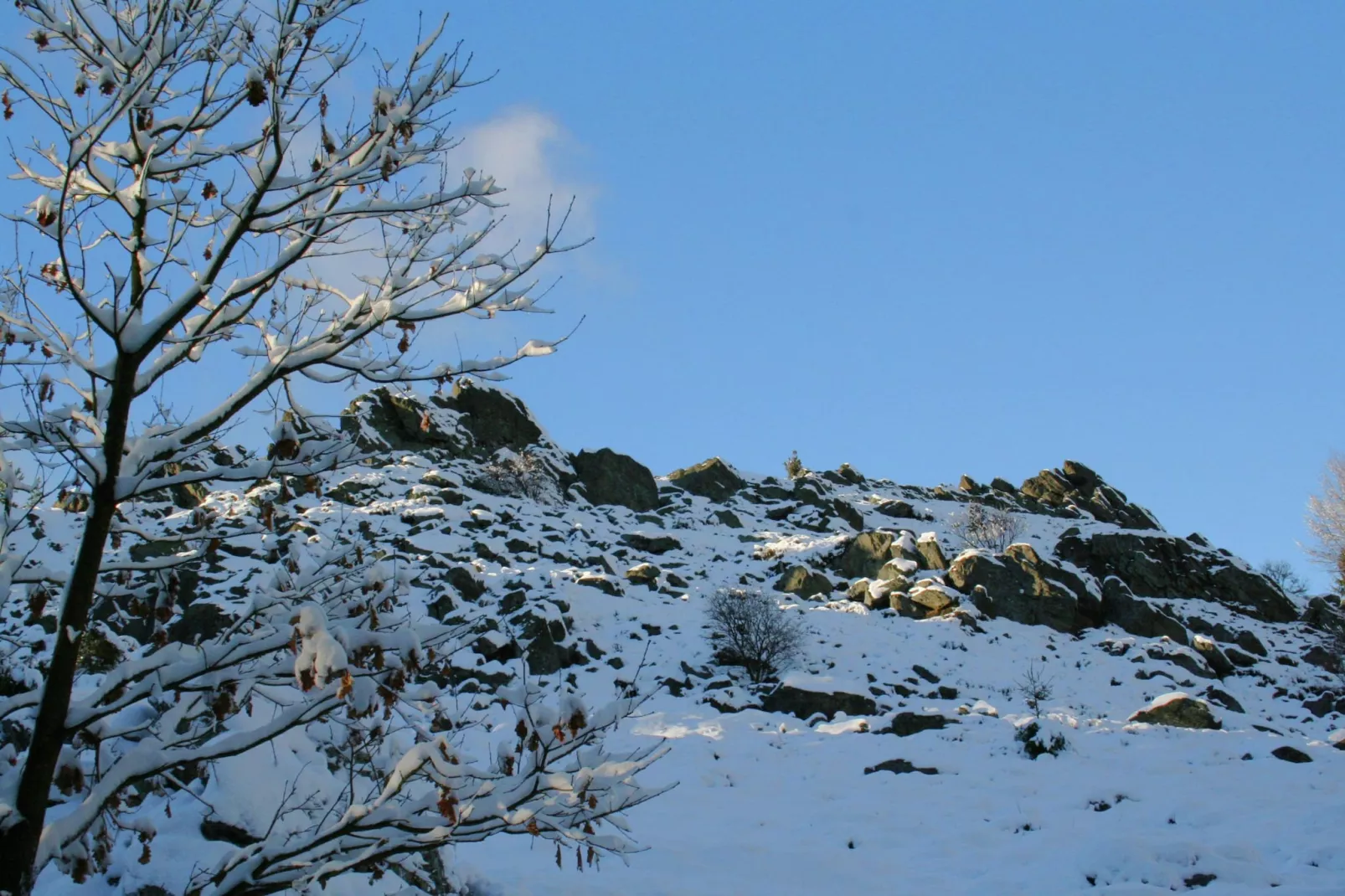 Zum wilden Jakob-Gebied winter 20km