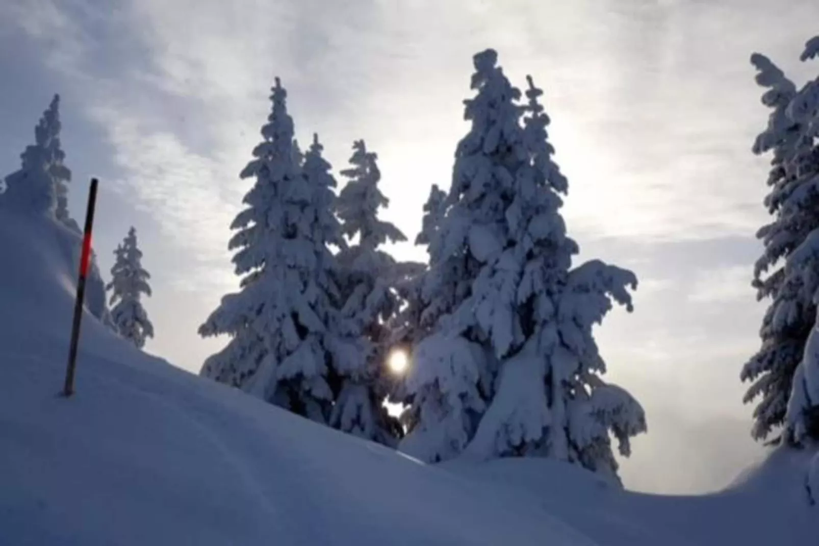 Ferienhaus Büsch-Gebied winter 20km
