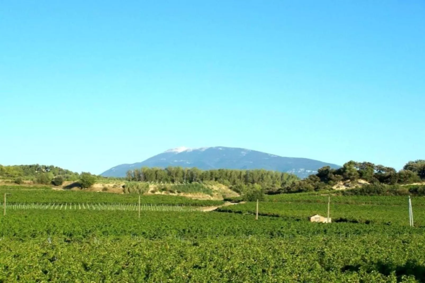 Alana-Gebieden zomer 20km