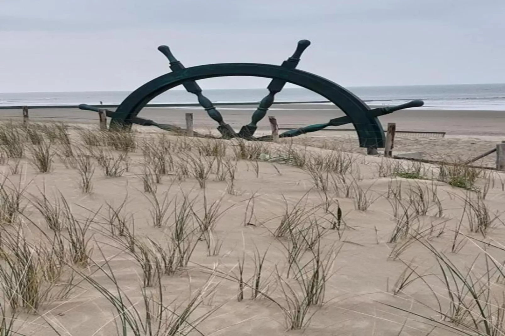 VIKING06 20803/ 8G-Gebieden zomer 20km