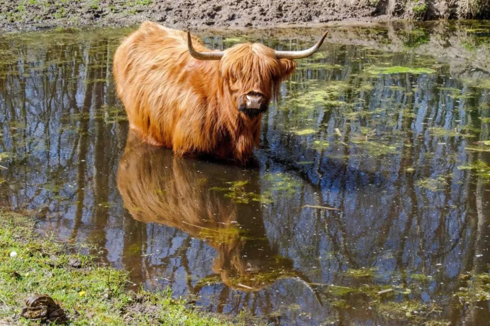 Maurits 5-Gebieden zomer 20km