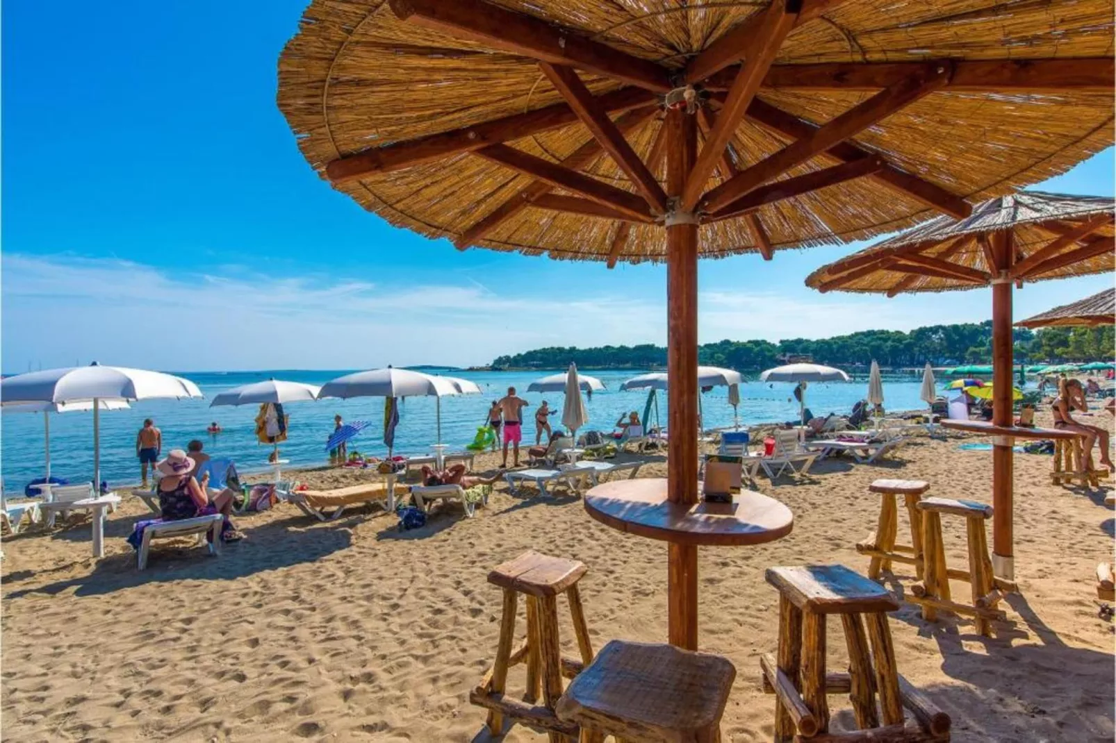 Mijic Studio 3 - 250 m from the Beach-Gebieden zomer 5km
