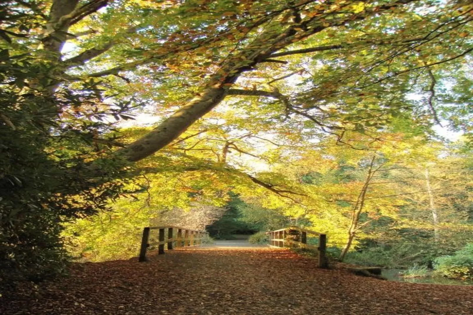 Little Dunley - Apple Lodge-Gebieden zomer 5km