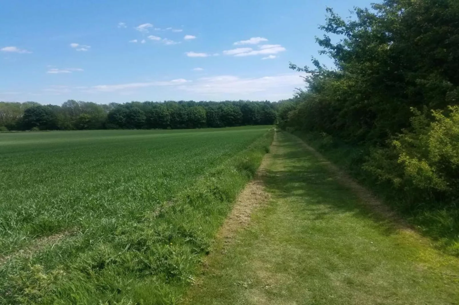 Longwool View-Gebieden zomer 20km