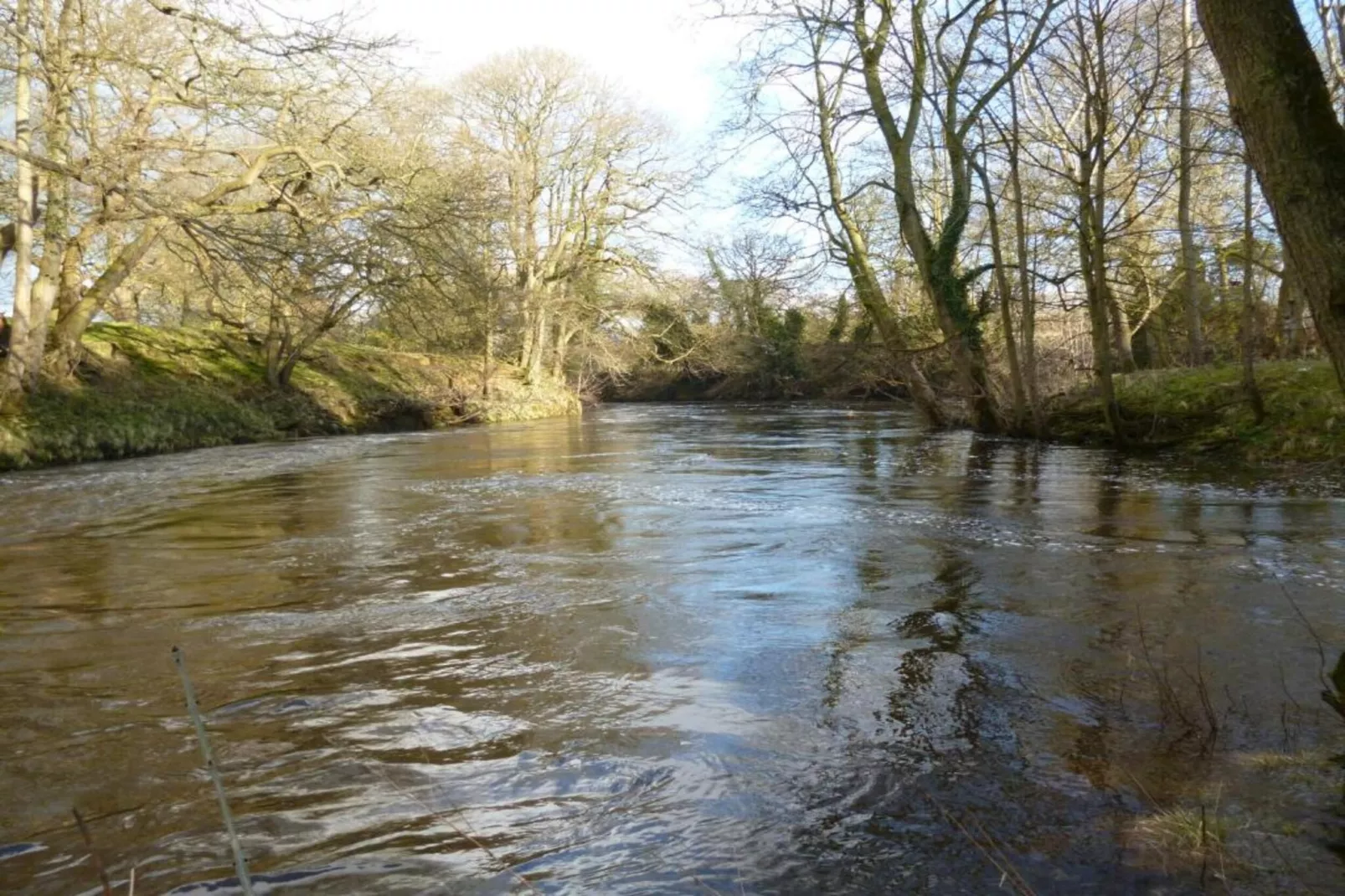 Tyg Cottage near Fountains Abbey & Brimham Rocks-Gebieden zomer 20km