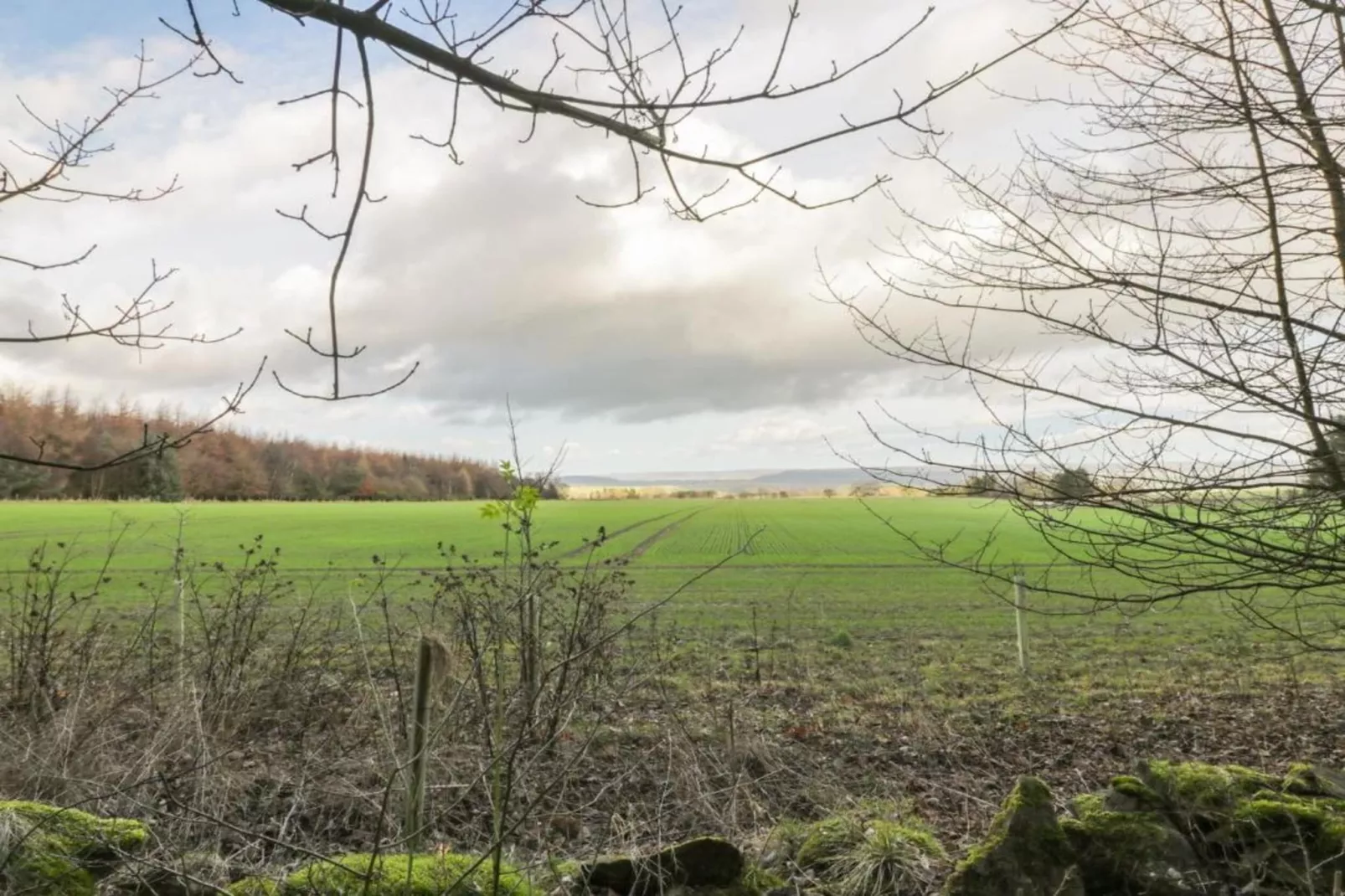 Kilburn Hall Apt-Gebieden zomer 5km