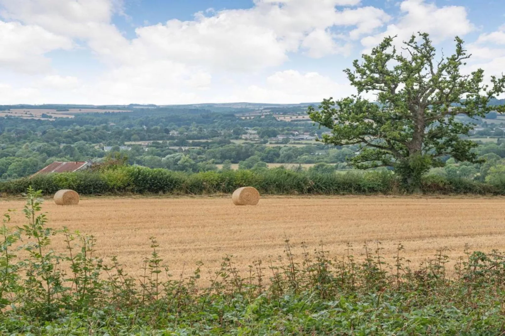 Little Rissington - The Annexe-Gebieden zomer 20km