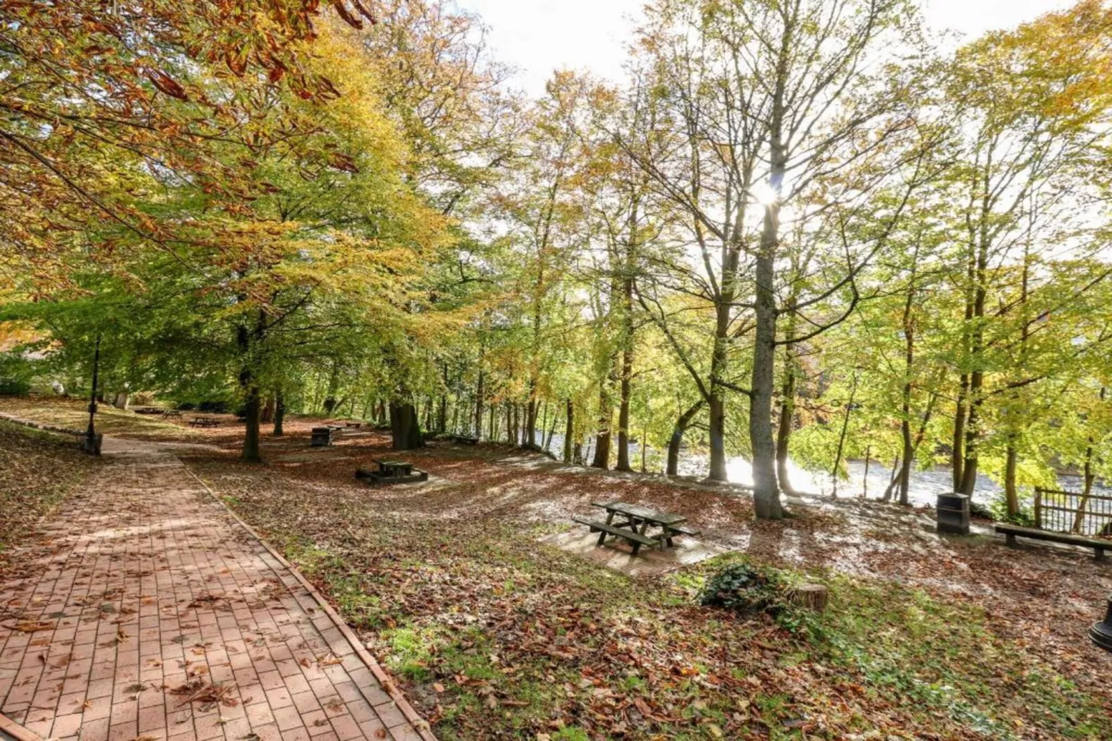 Owl Cottage-Gebieden zomer 20km