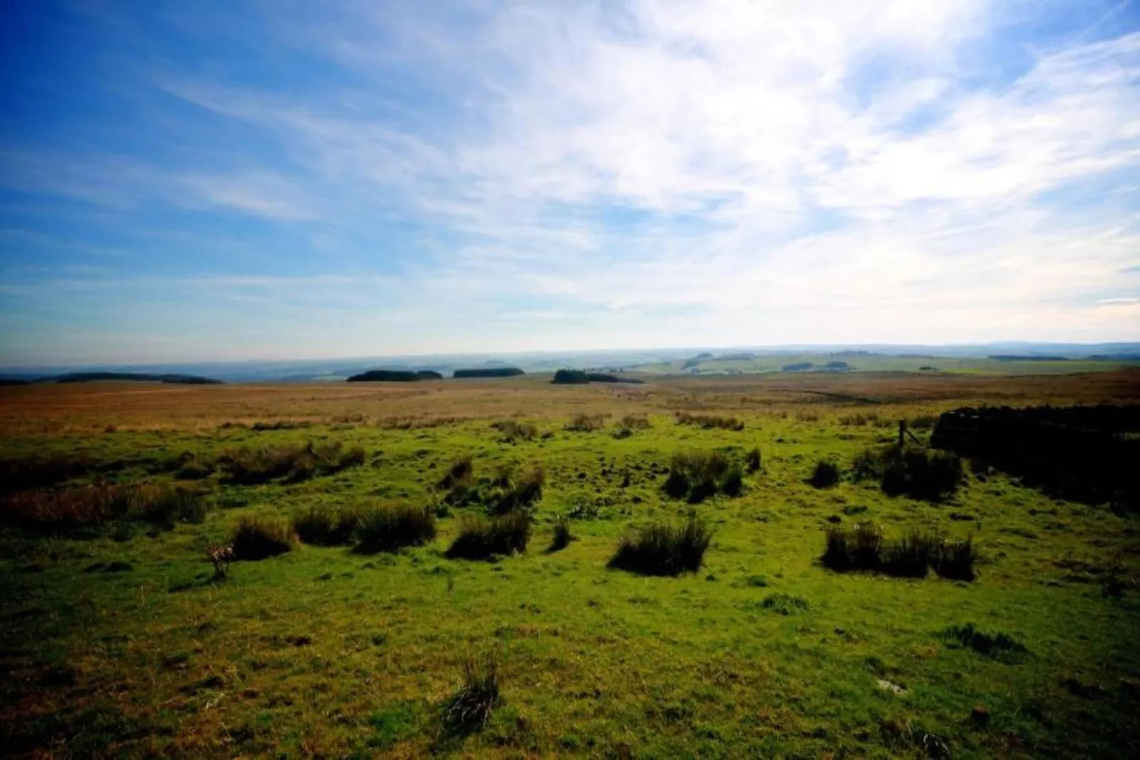 Wheatley's Glamping-Gebieden zomer 5km