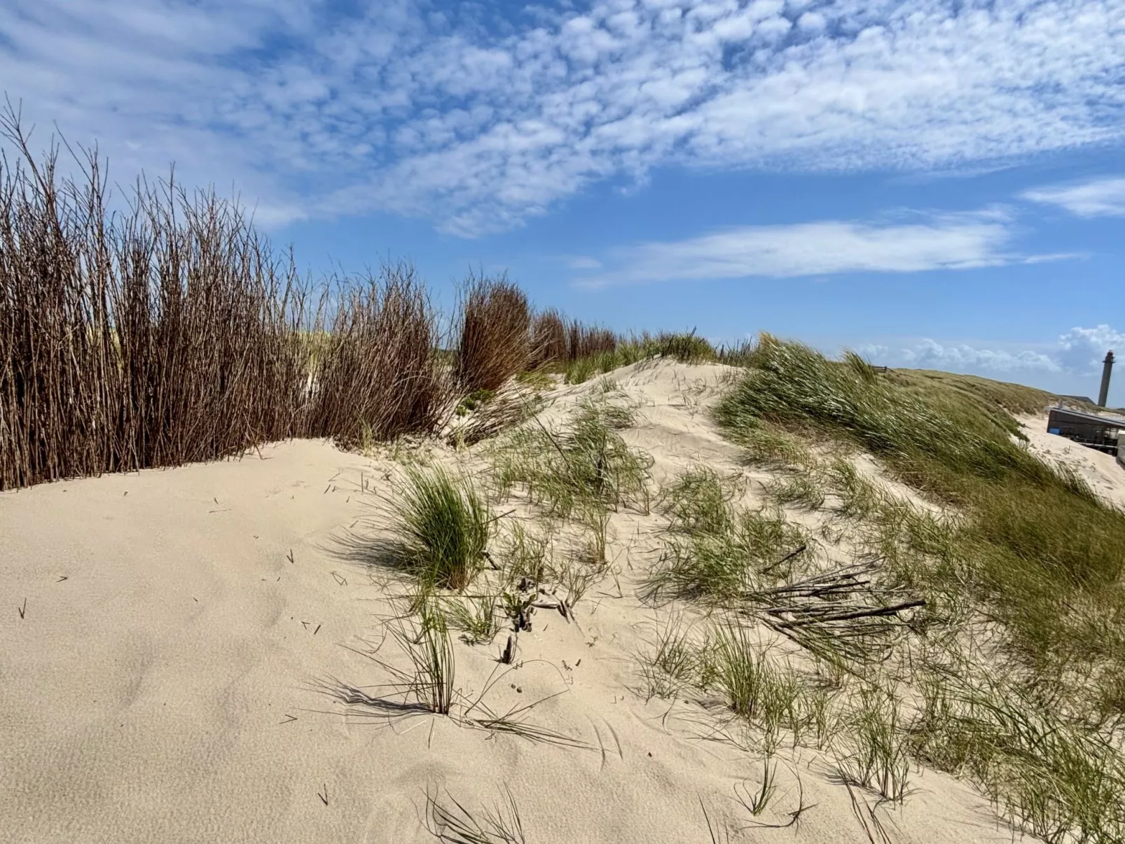 Beach House Westkapelle 107.6-Omgeving