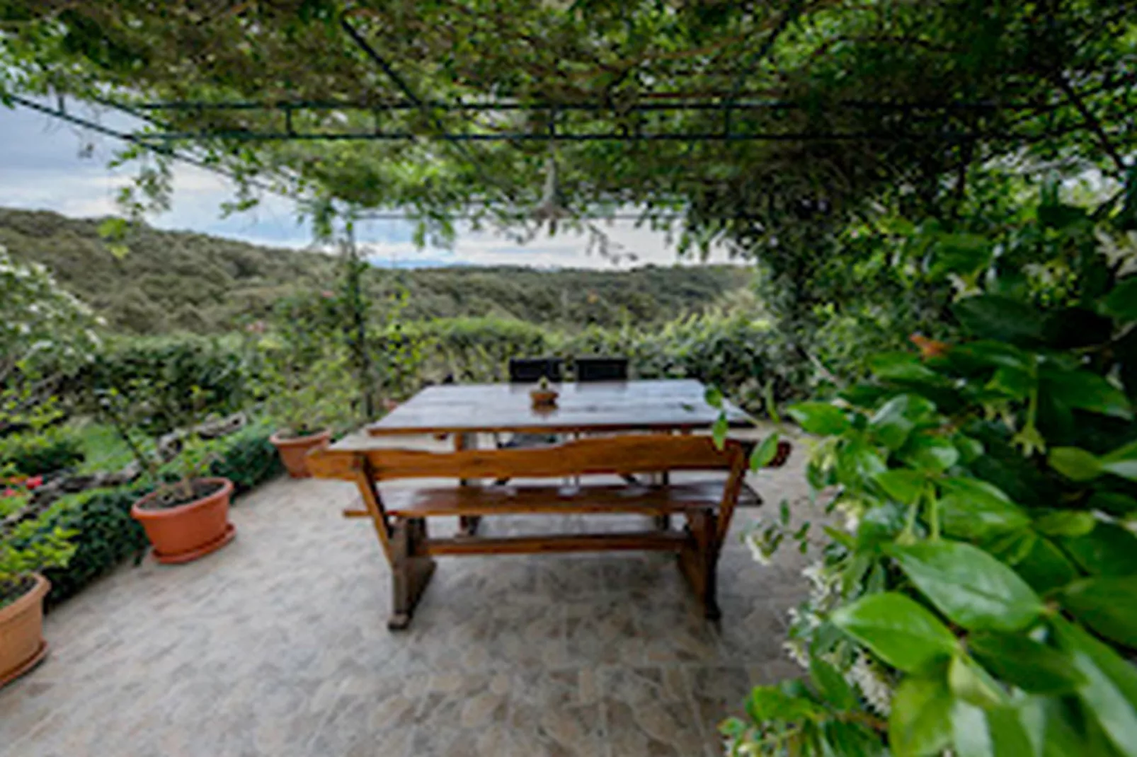 Apartments & Rooms Green Bay - Two Bedroom Apartment with Balcony and Sea View (APP 7)-Terras